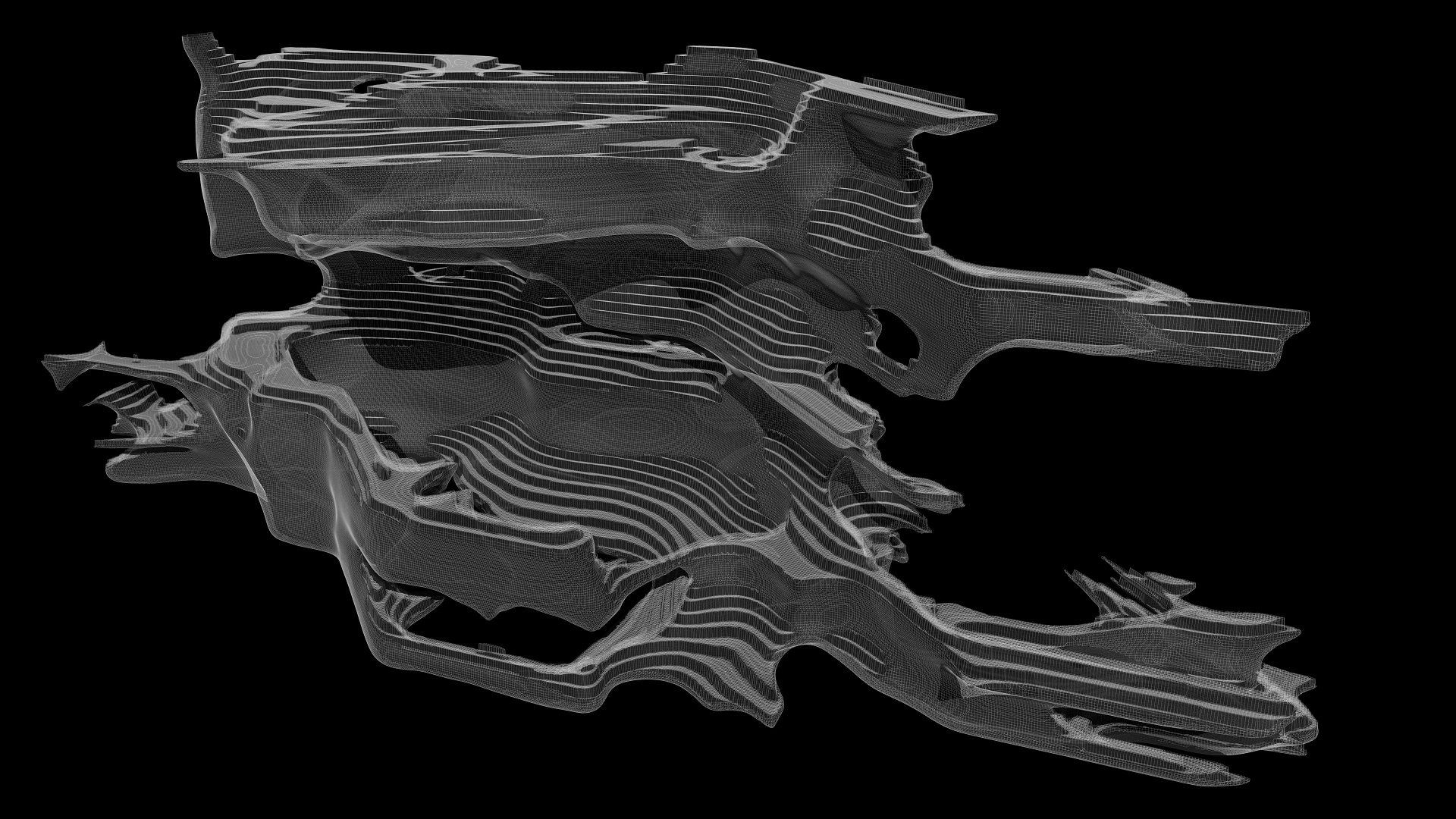Mycelium formation x-ray
