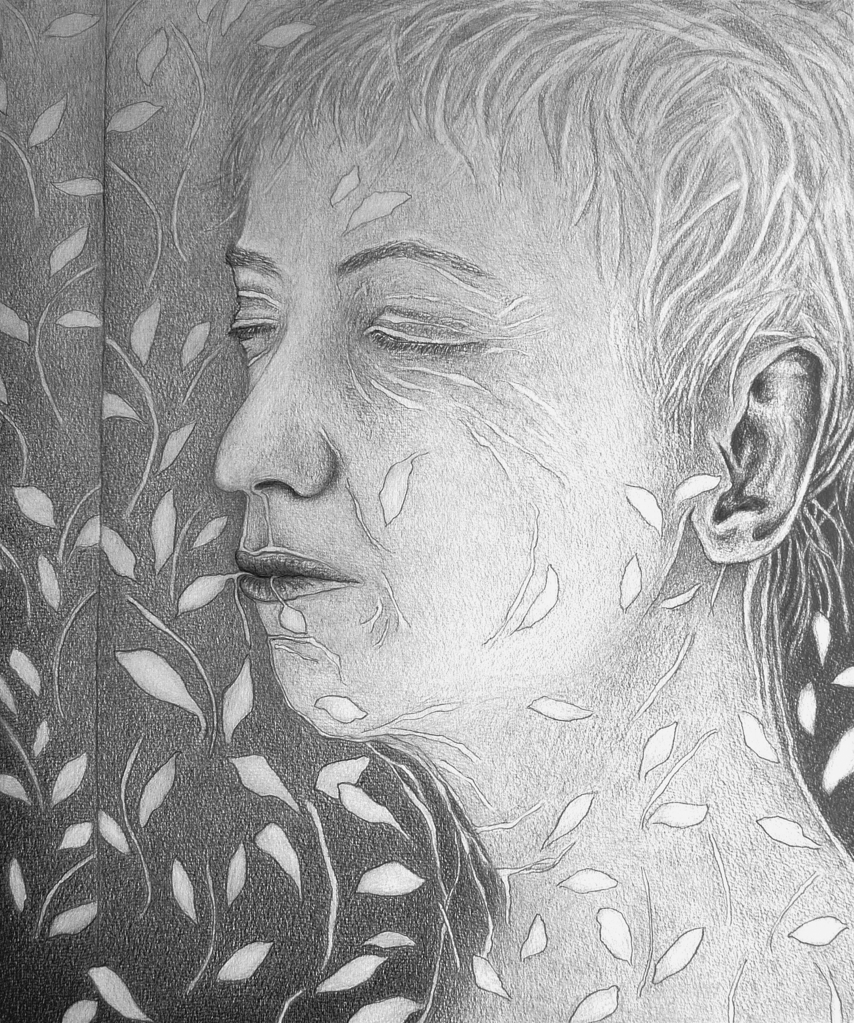 potlood op papier, 60 x 50 cm