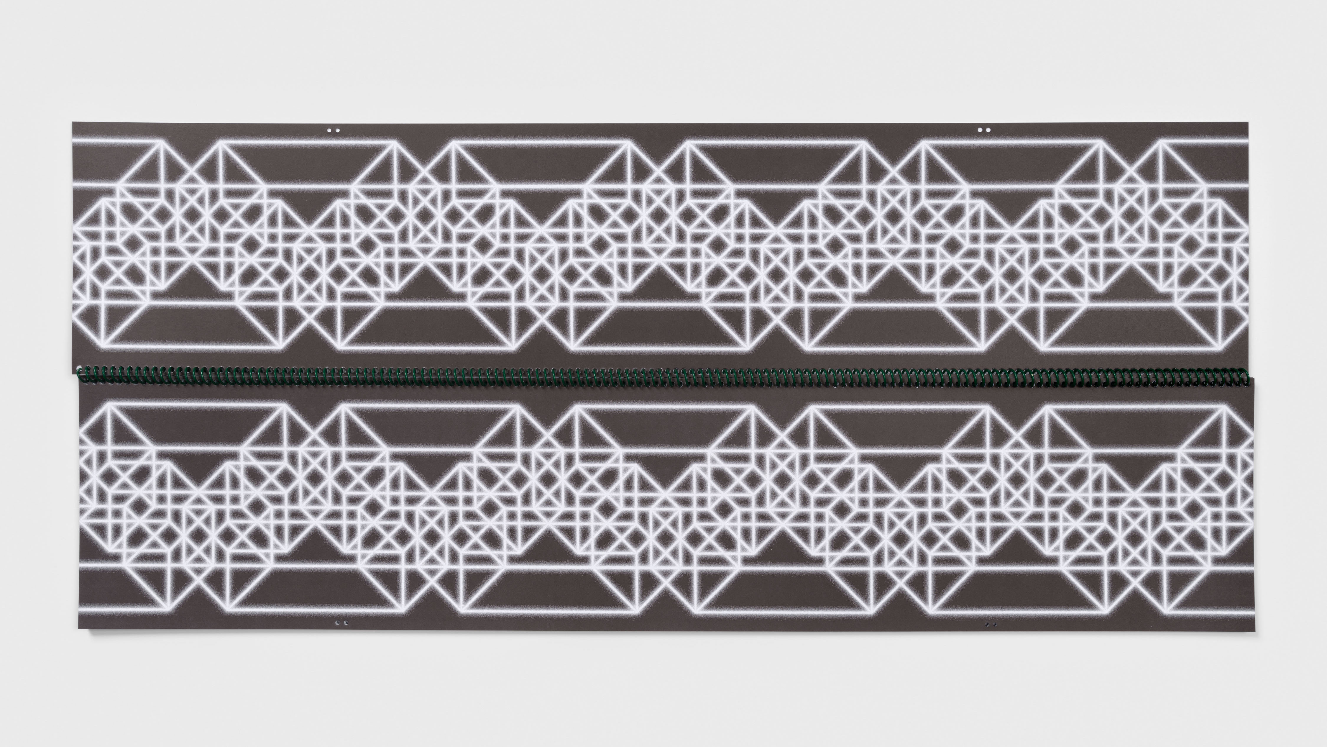 Tauba Auerbach Studio / Diagonal Press