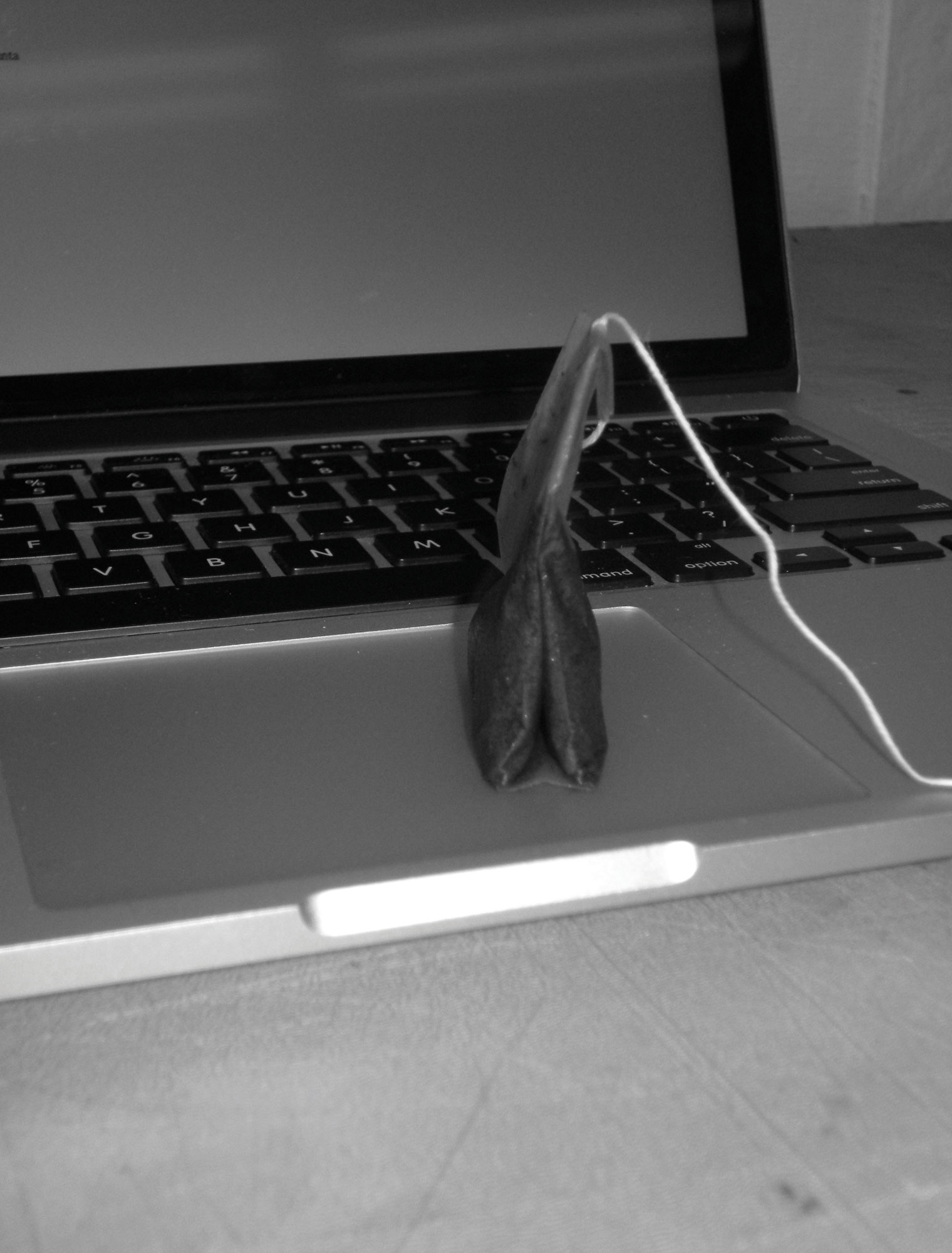 Weight &amp; Velocity (Tea Bag on Touchpad) #1, 2014C-Print21,5 x 27,9 cm.