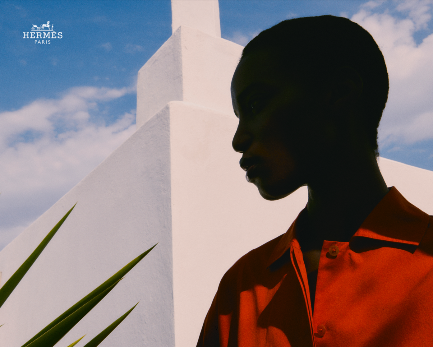 HERMÈS BEAUTY / HERMÈSISTIBLE LE GOÛT DE LA COULEUR, 2022	