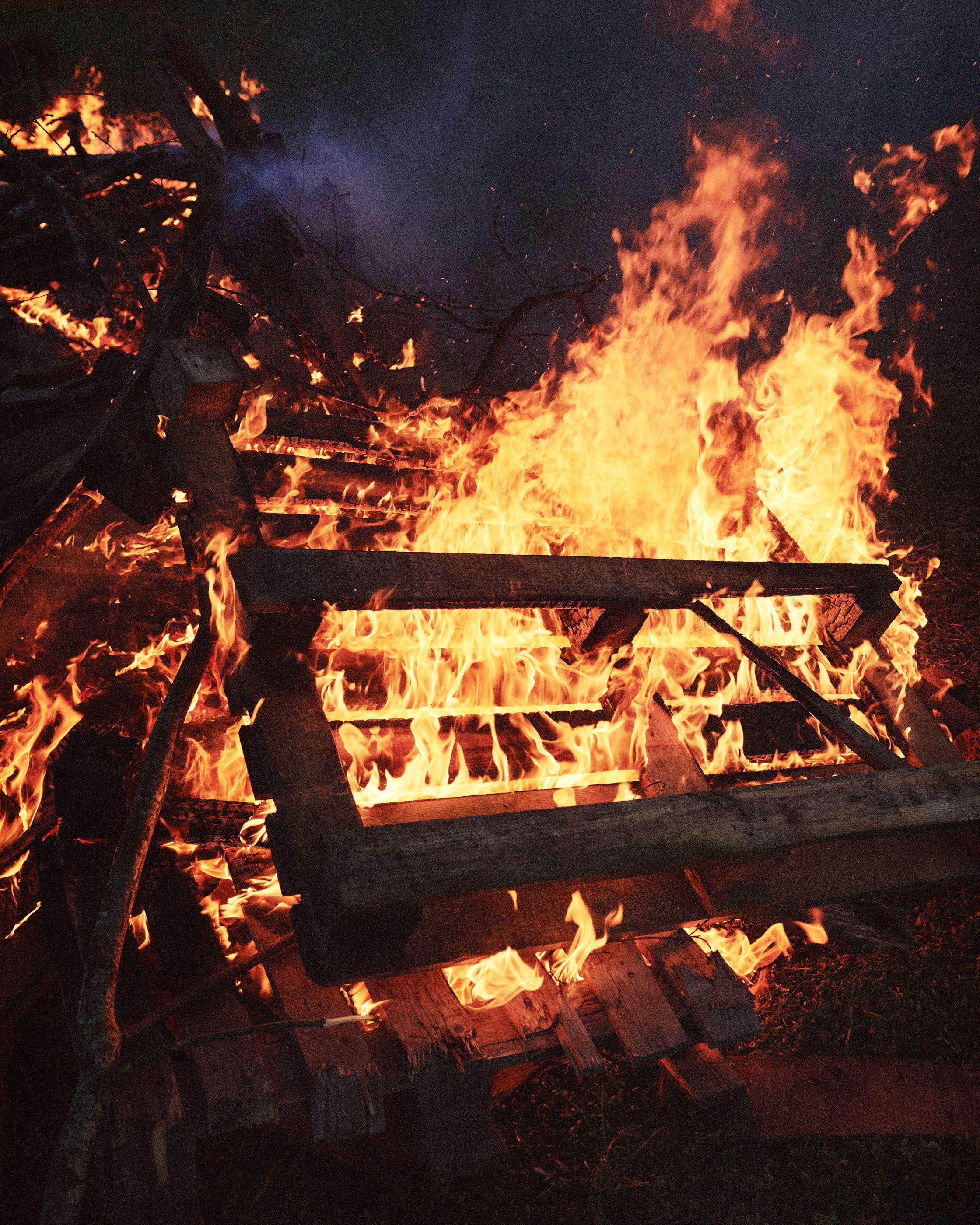 COVER FOR COLT, 2025