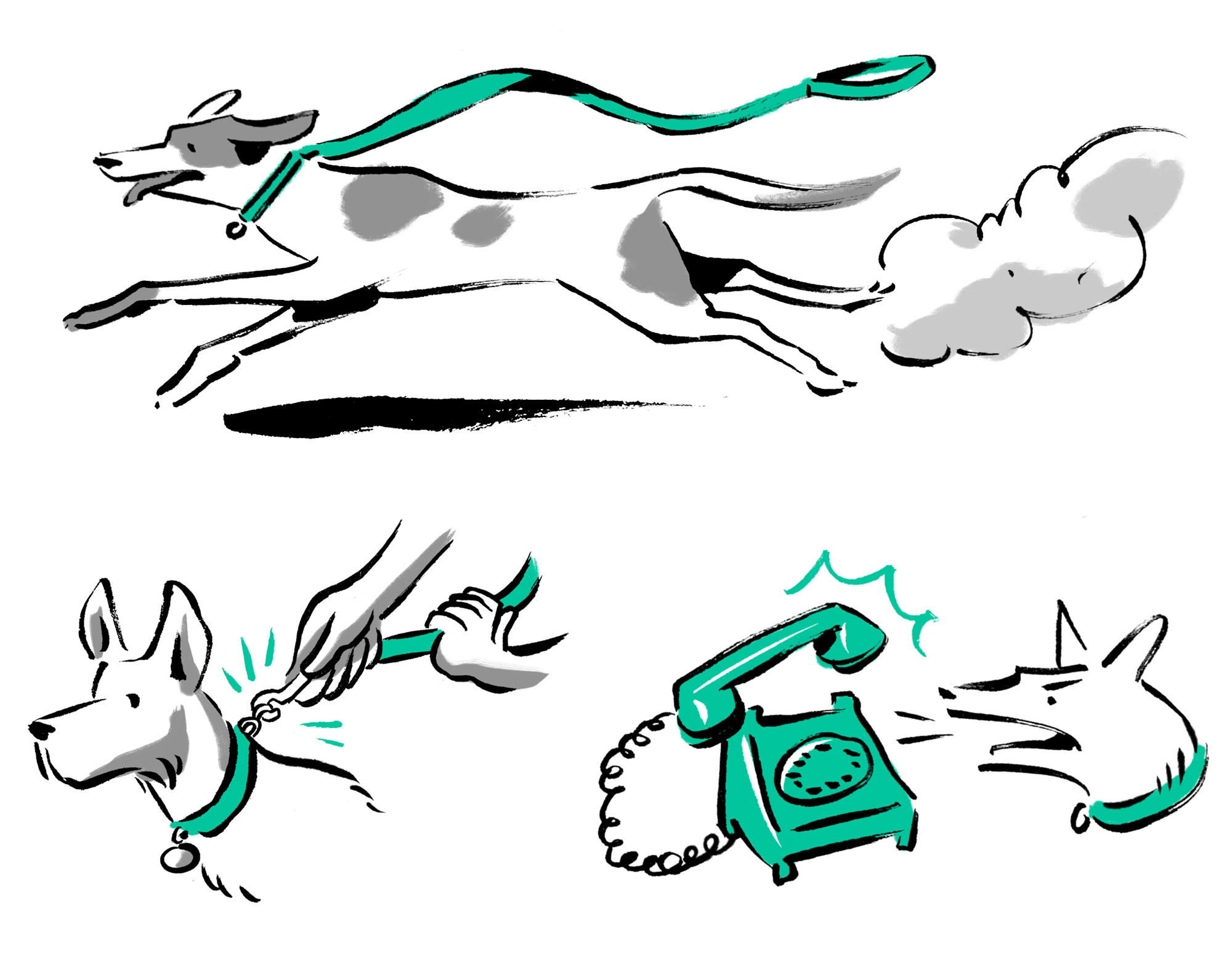 "Dog-walking startup Wag raised $300 million to unleash growth. Then things got messy"