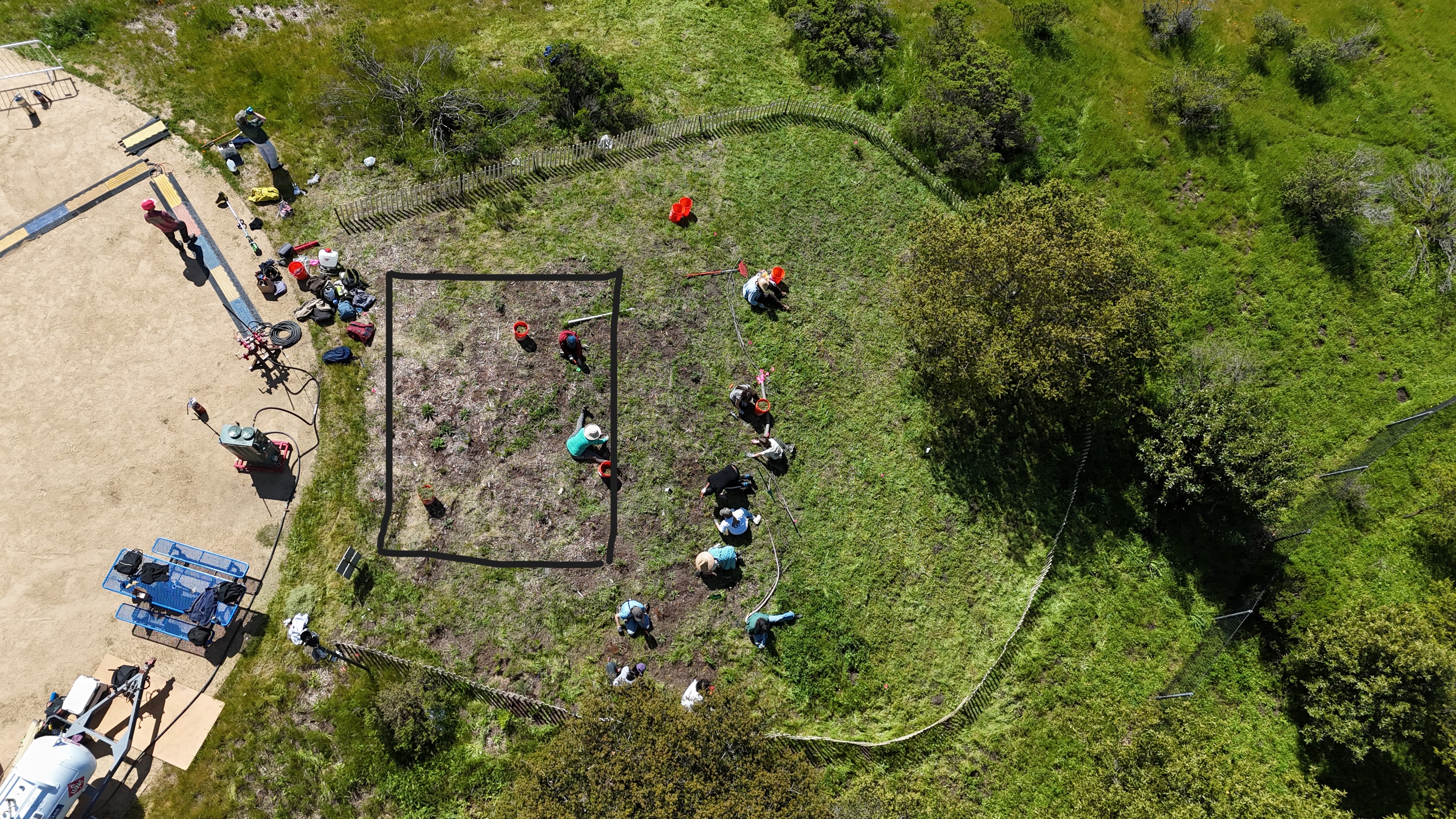 April 4th 2024 - the area we sprayed is in the gray rectangle. Other weed management includes hand weeding around native plants and mowing the rest of the plot as well as a buffer upwind before the grass produce viable seeds. This will hopefully make our lives easier next year!