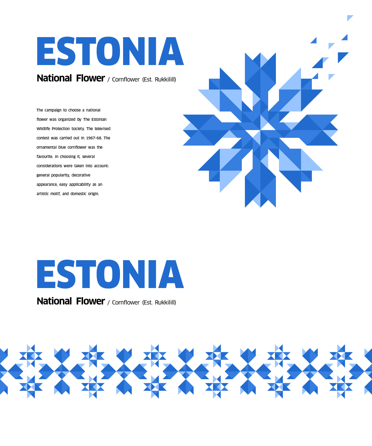Estonia Olympic Uniform — Anton Repponen