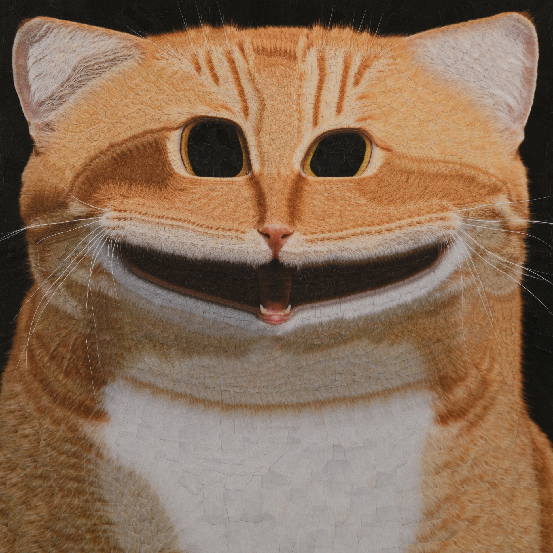 Cat with the NYT, 2023, 11.8 x 11.8 inches