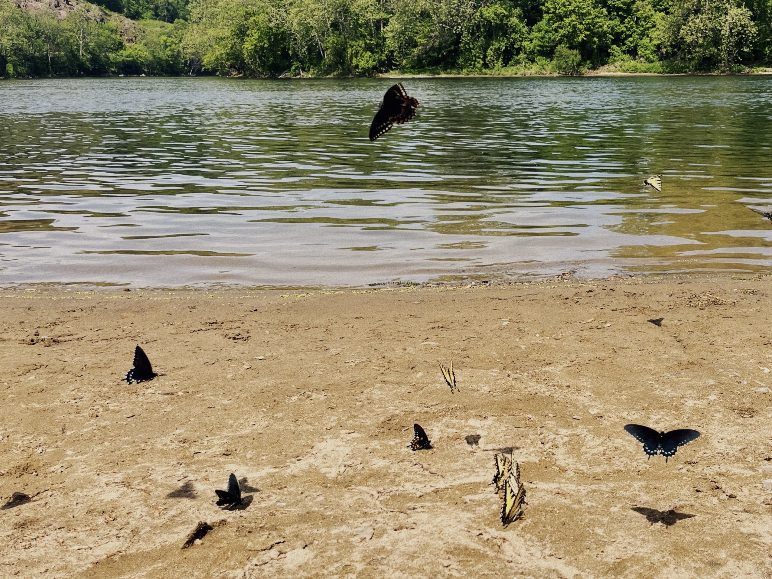 When the Homesickness Hits