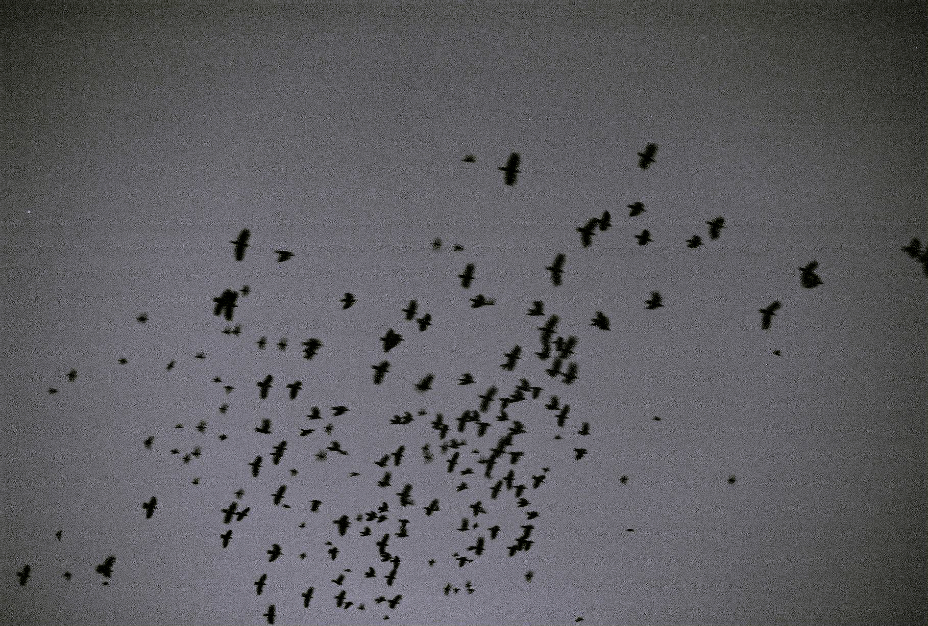 Nîmes, France, 2018.