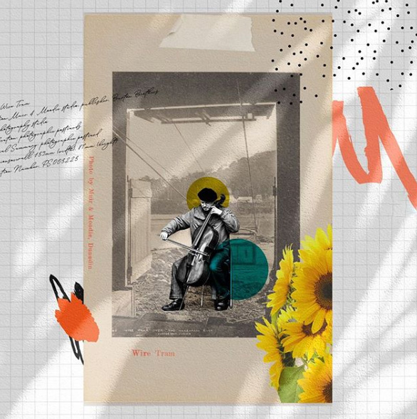 Gülseren Çimentay