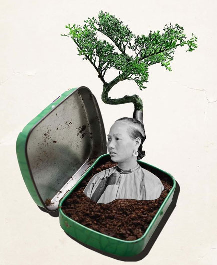 Regina Lafay Bellamy