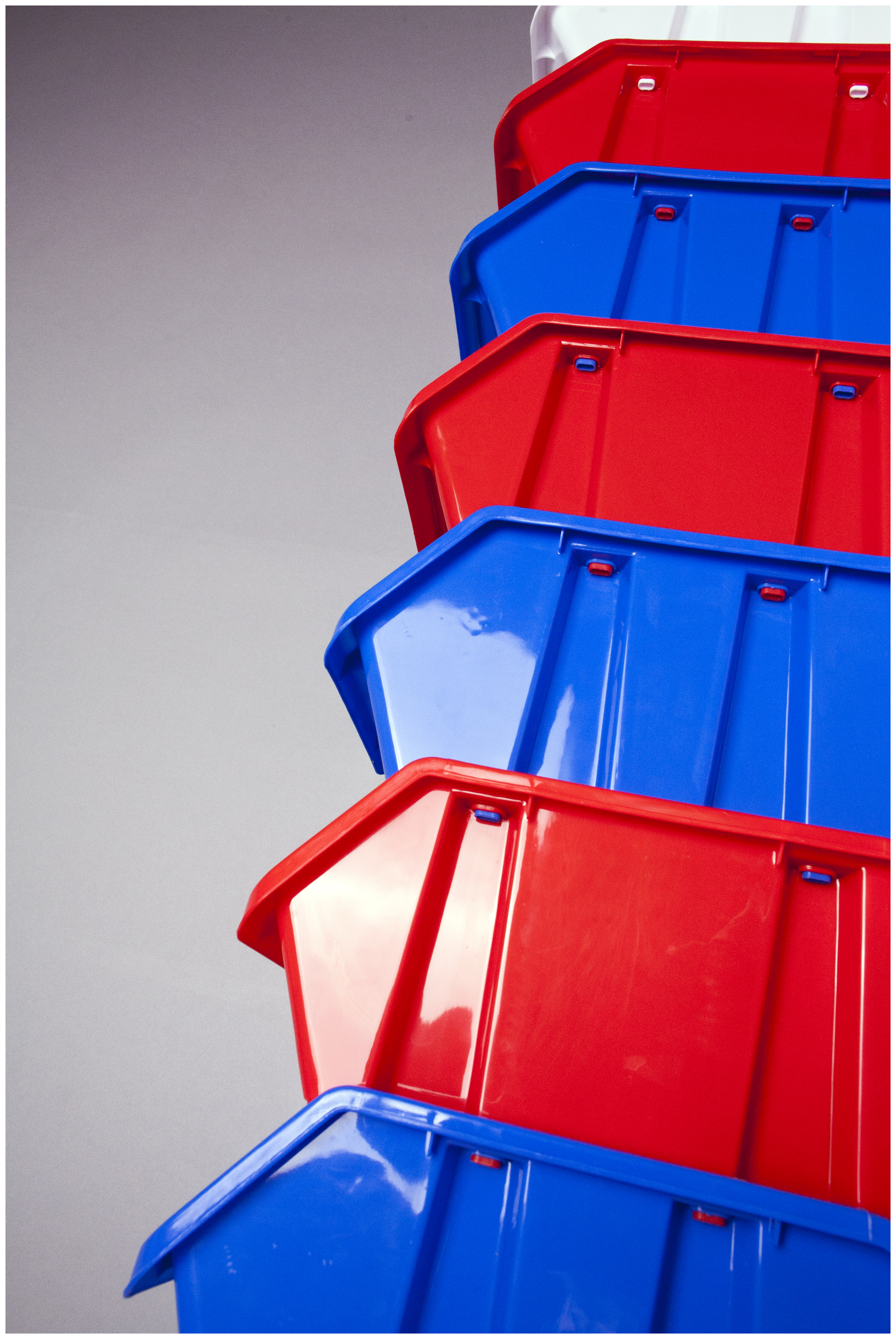 Two Sparrows Frantically Building a Nest, 2016DSLR image40.444 x 60.667 in.102.73 x 154.09 cm