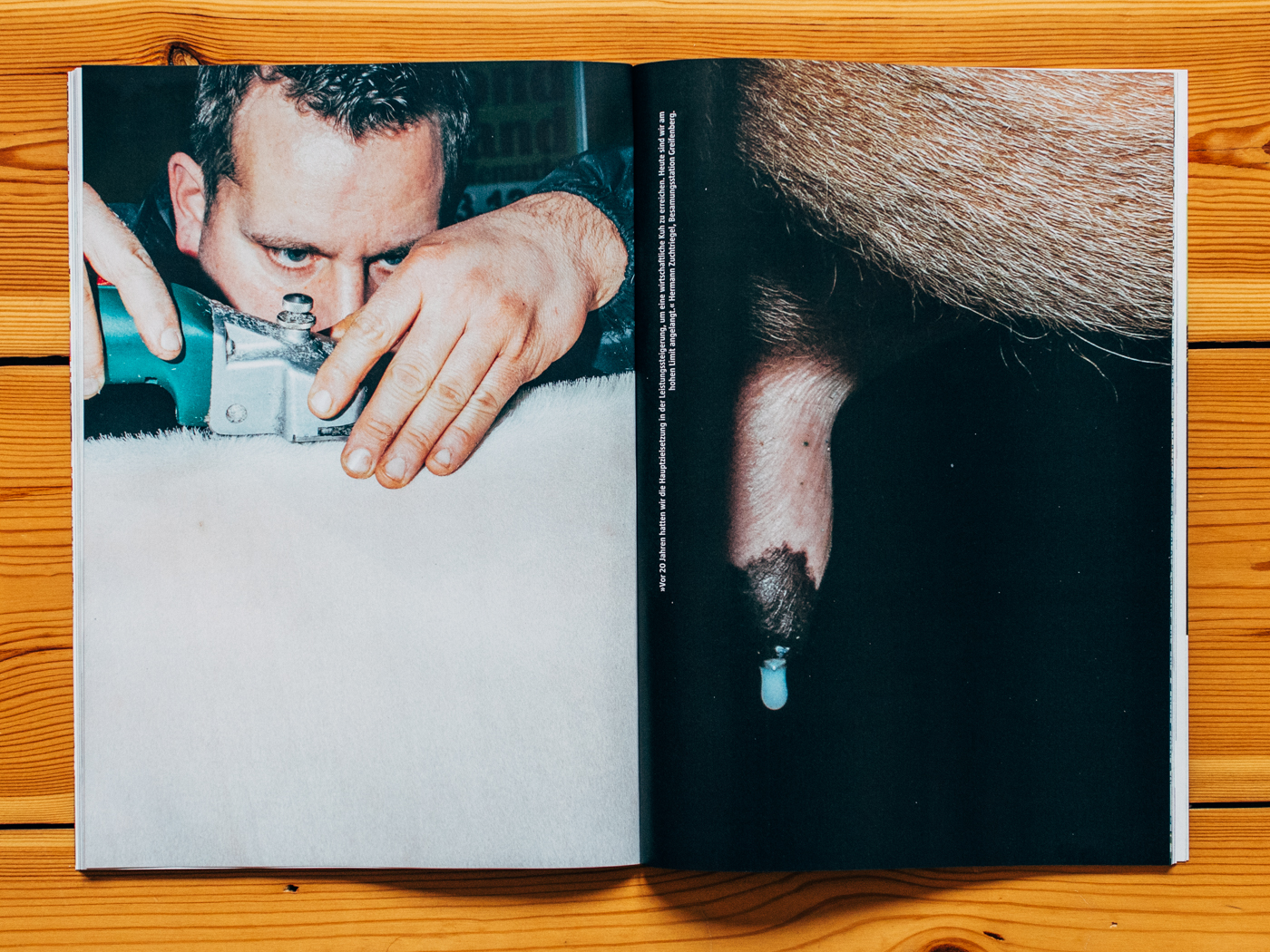 FuturZwei / Hornless Heritage / Dezember 2018