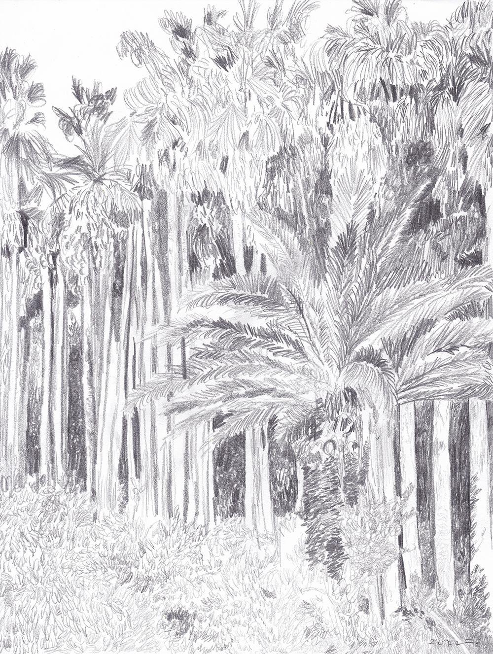 숨은 해변가, 2022, pencil on paper, 27.9*21(cm)