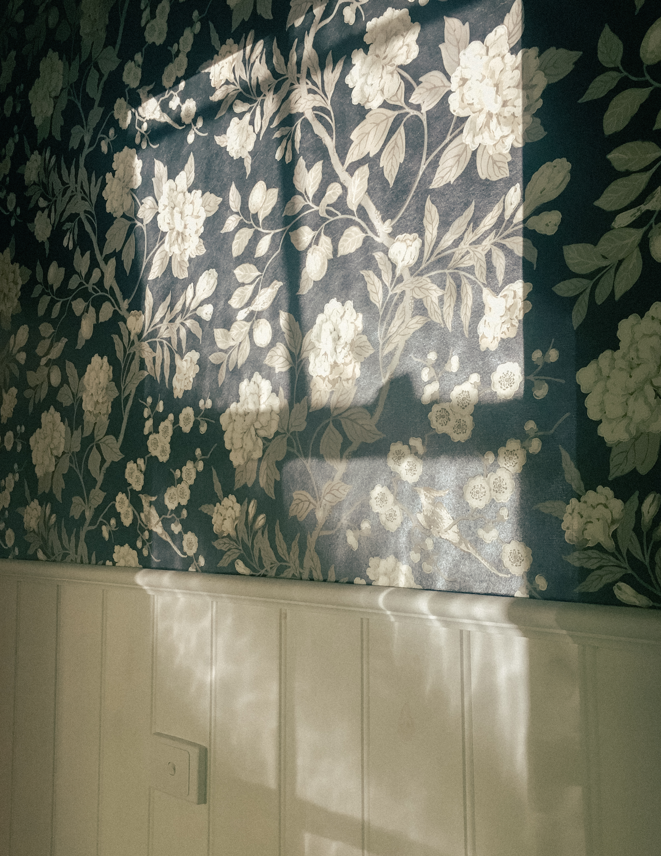 The ordinary, from the journal: Where the rays of sun hit in the morning (2017-2018)