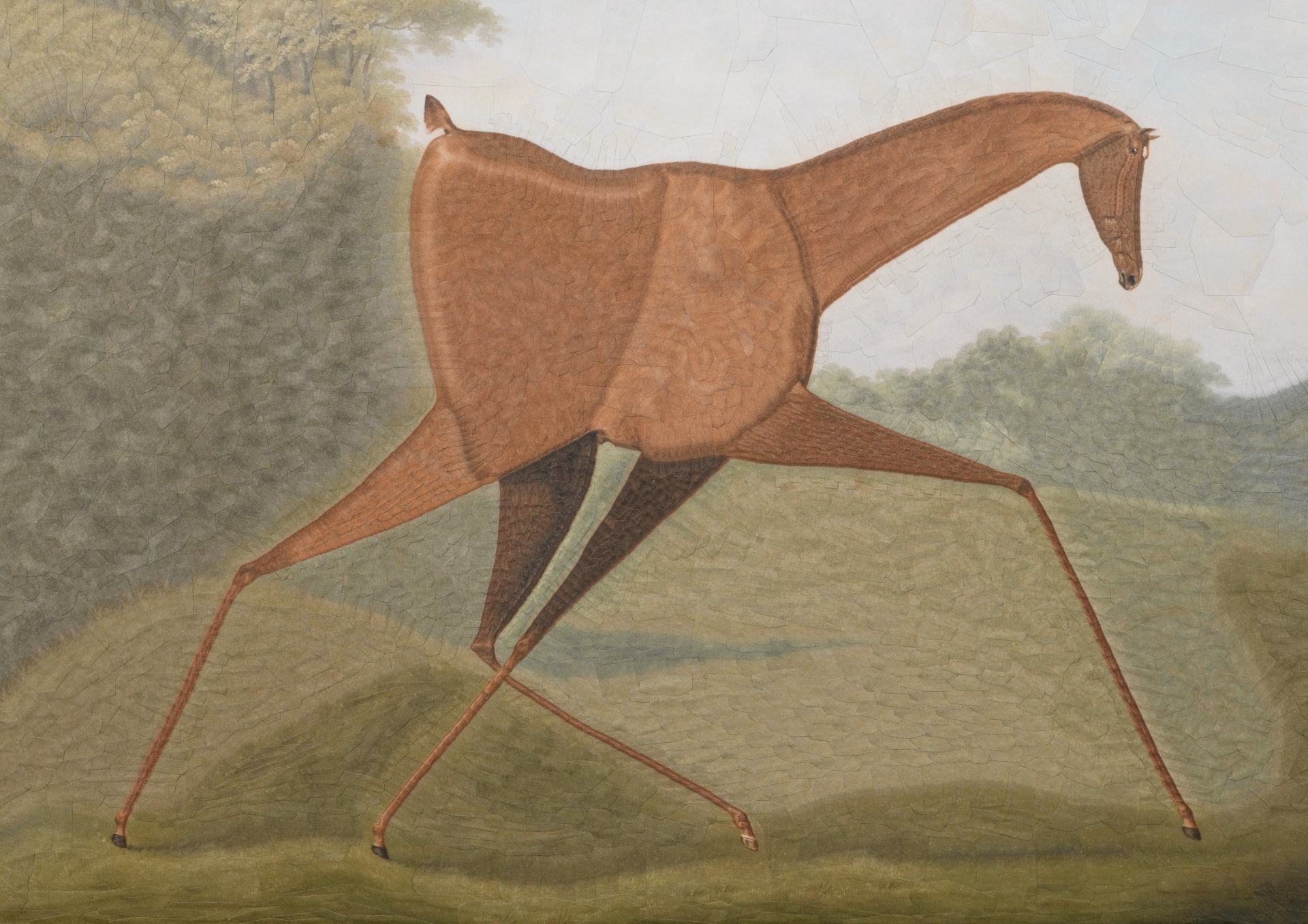 Chestnut after Sartorius, 11.6 x 16.5 inches