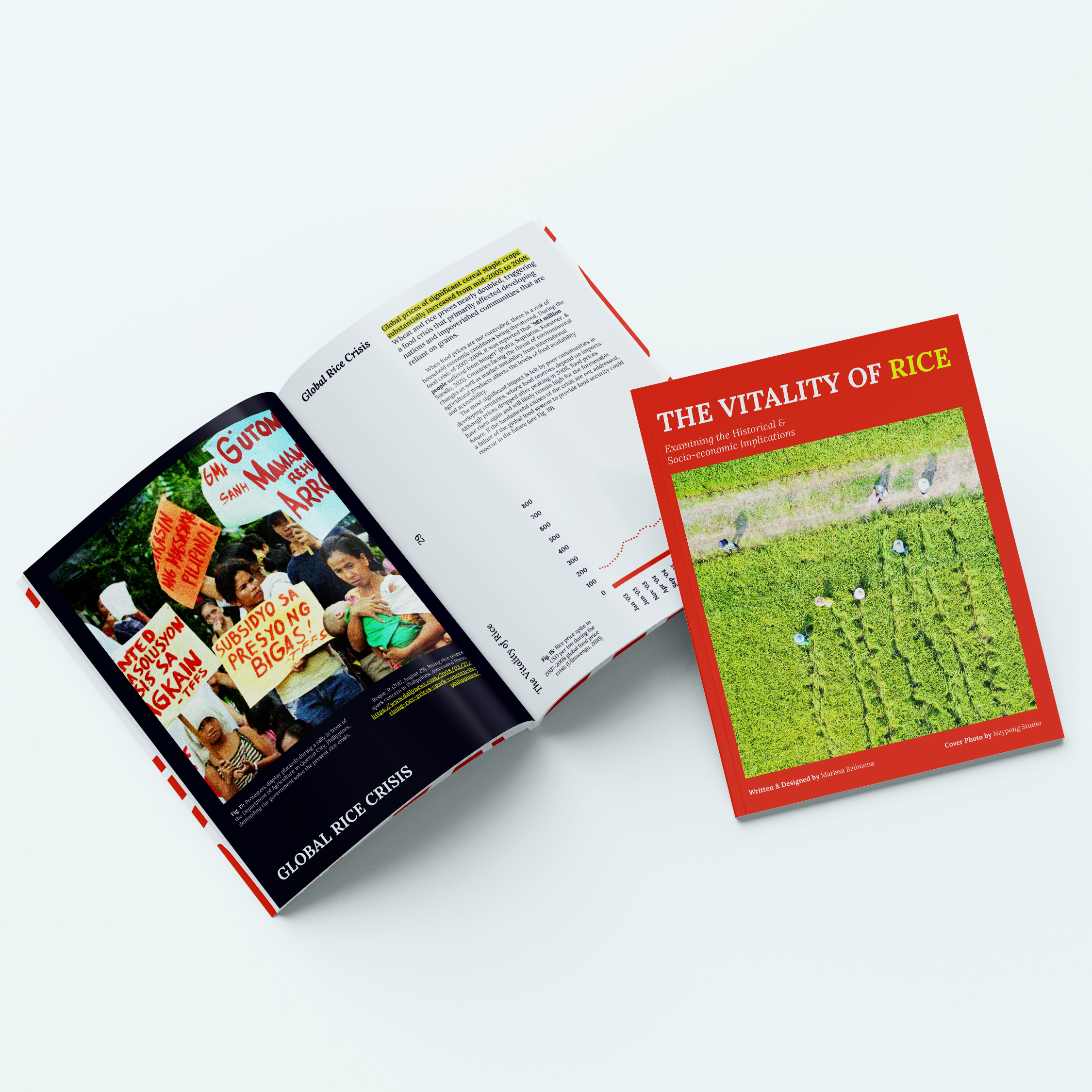 (4/6) Global Rice Crisis section with supporting image and content.