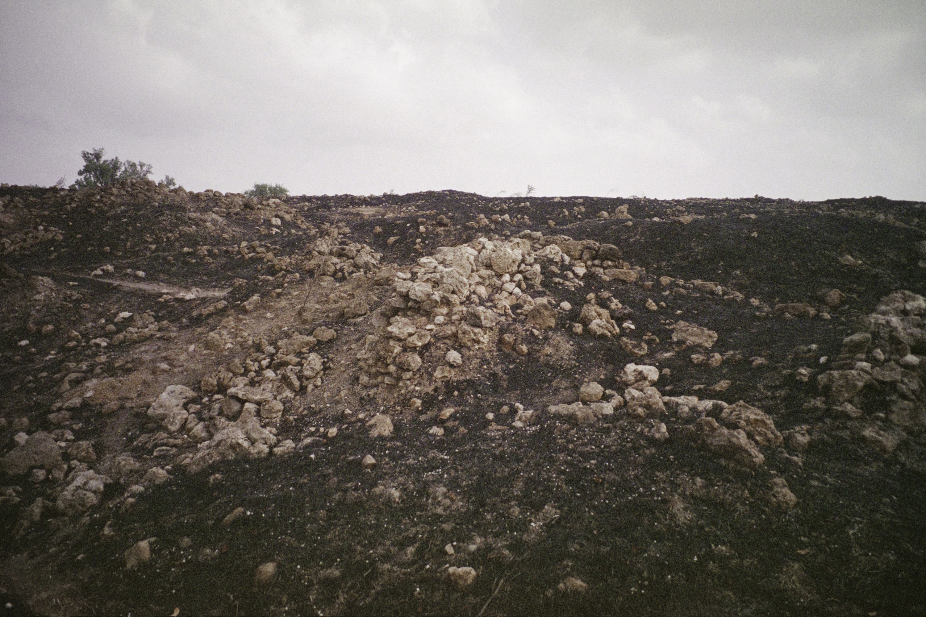 Untitled (Simsim), 2018, archival pigment print, 90.5x134 cm