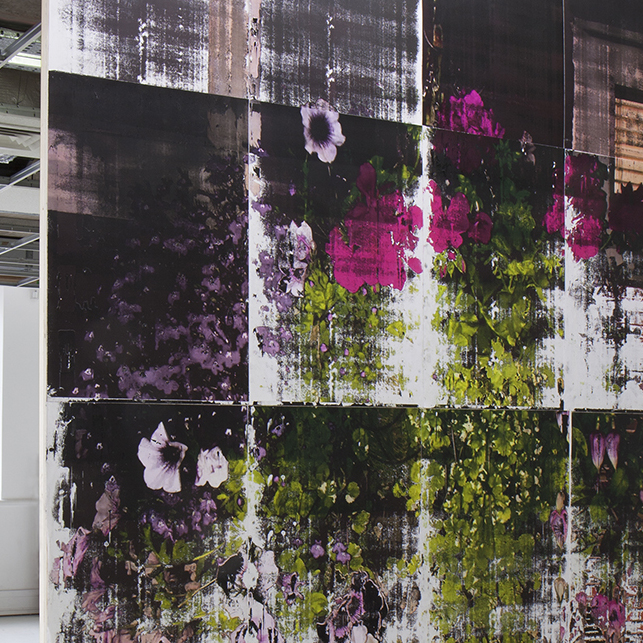 Hanging Basket, 2018