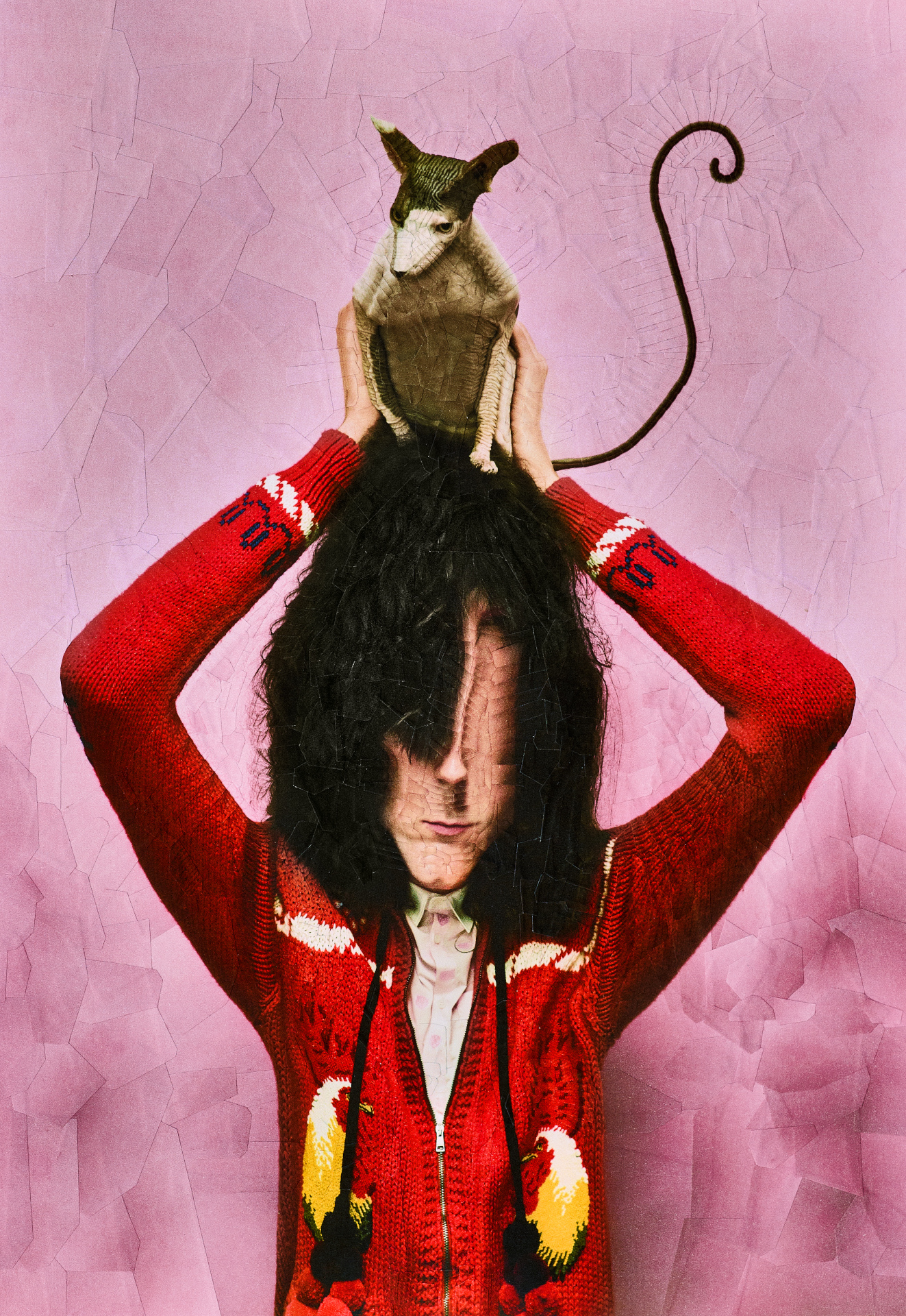 Agapornis V,  Gucci F/W 2017 with César Segarra, 2017, 8.2 x 11.6 inches