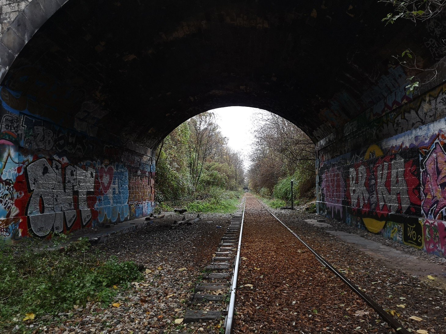 Le Petite Ceinture a graffiti covered tunnel with an abandoned train truck running through it. Trees and open sky can be seen at the end of the tunnel.