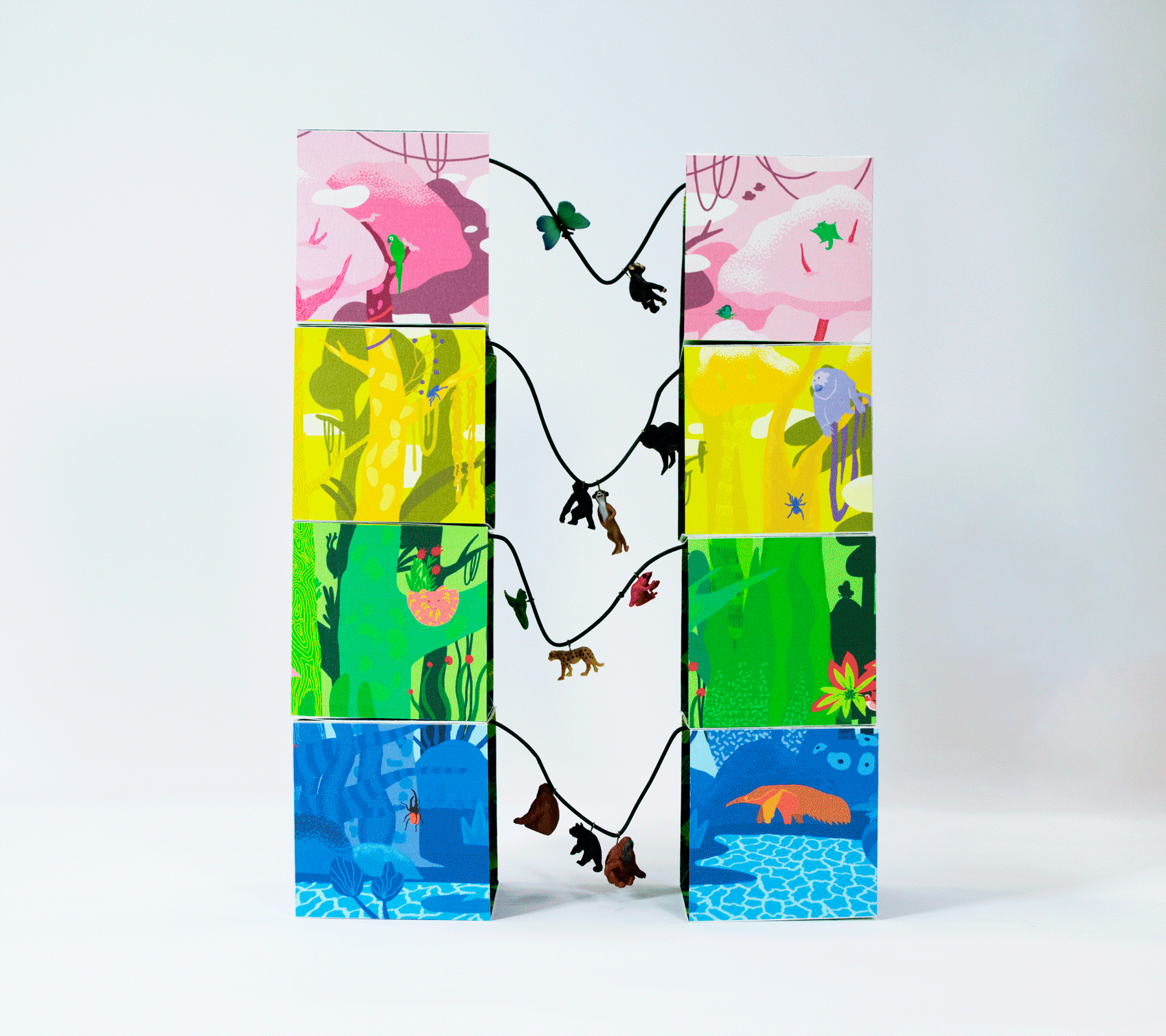 Opening/Closing of the All of Jungle Boxes