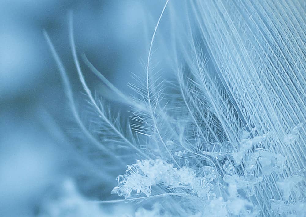 Nr. 088 Kristallfeder