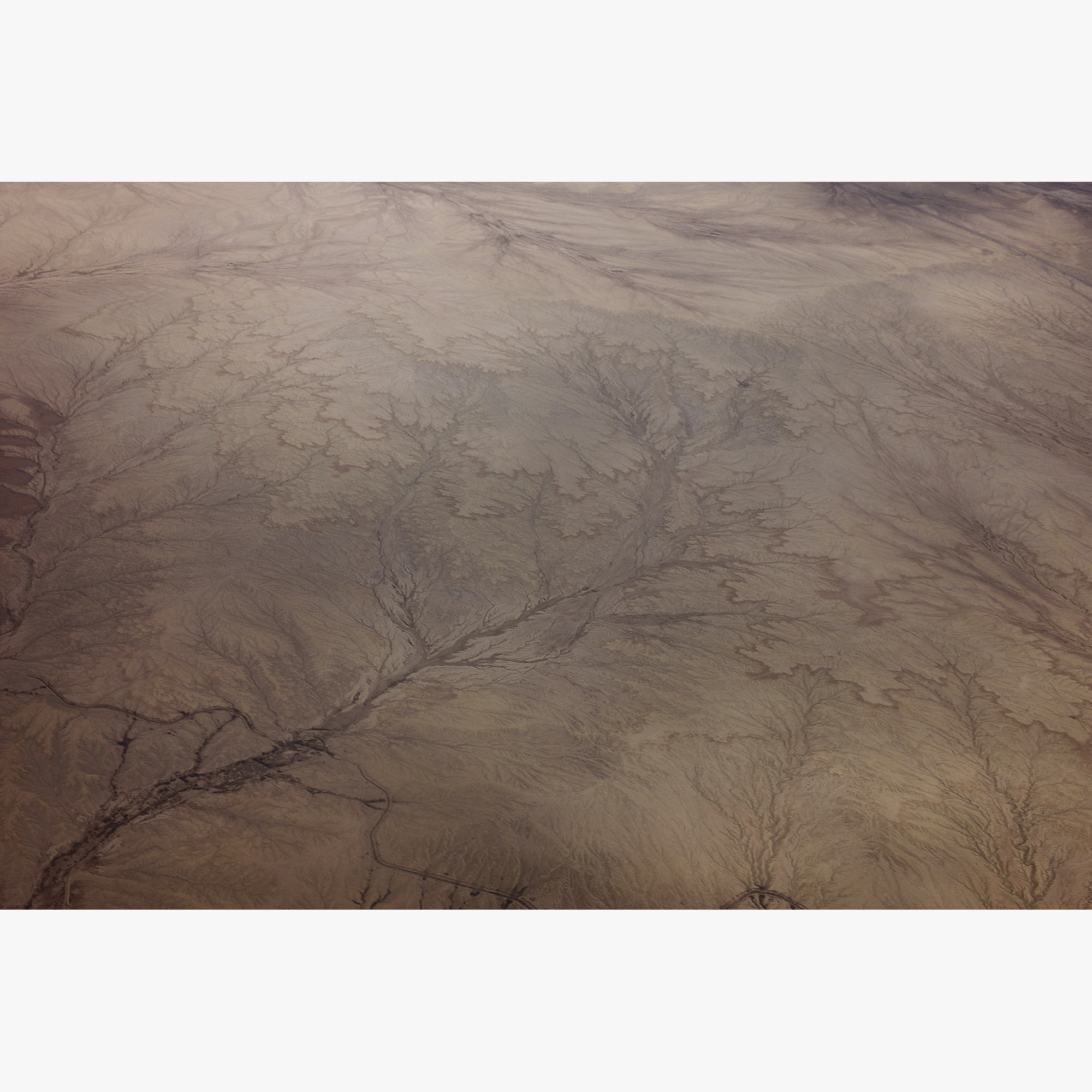 2/3Arizona, 2011 (110420_L1000650)