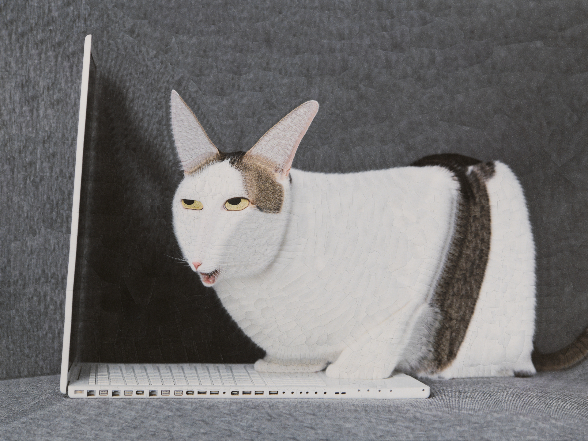 Vitalik, 2025, 16 x 12 inches