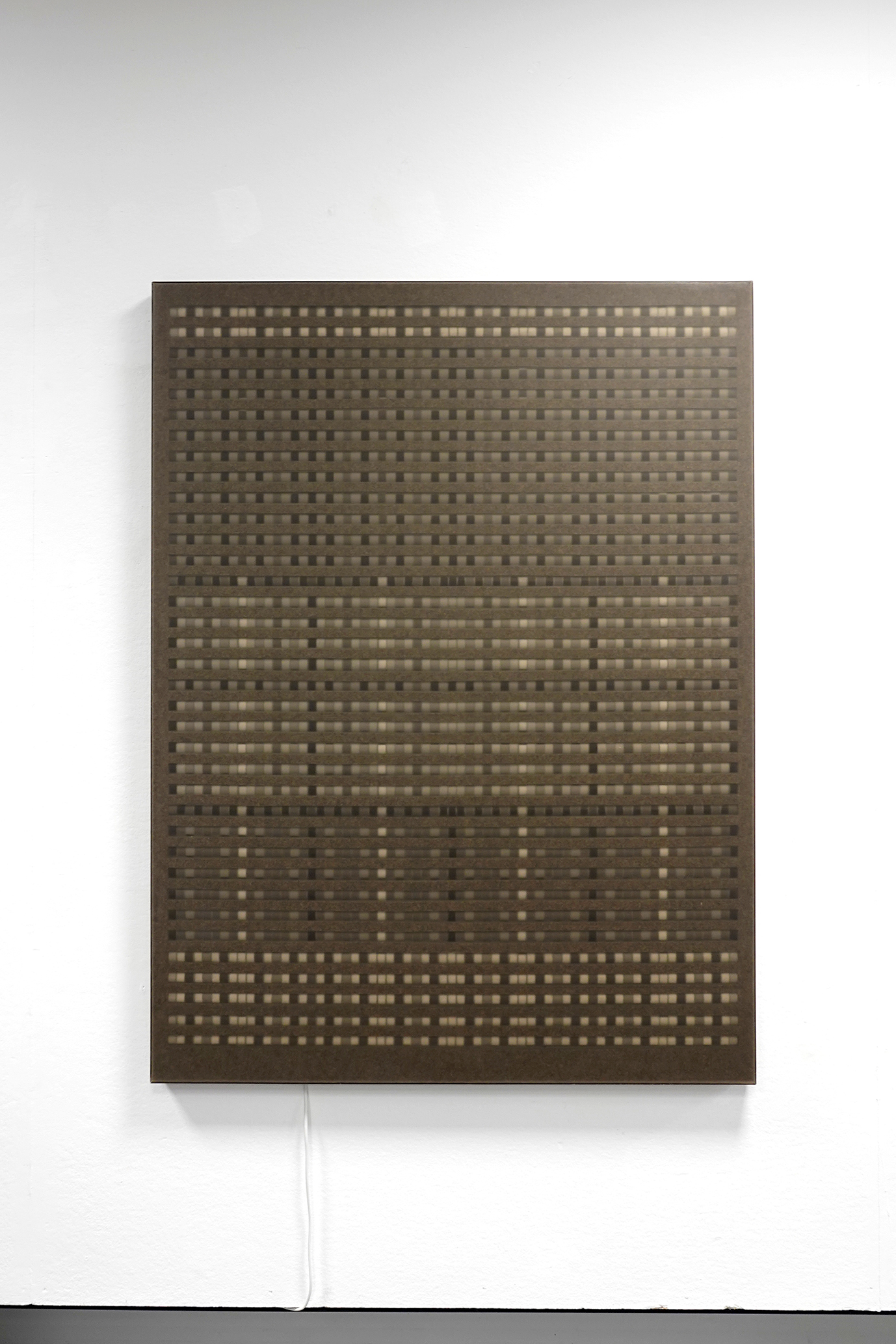 D1Q6 Potts - Competing Interpretations, front view