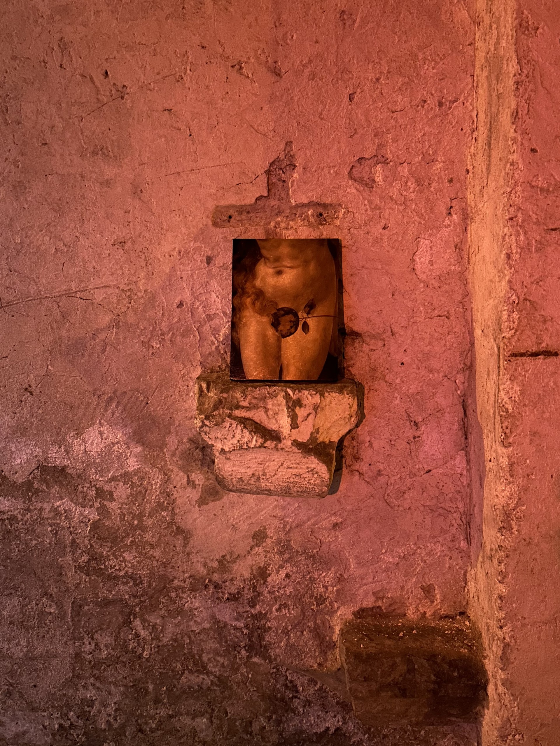 Leonardo Dalla Torre, Le carie, 2024, oil on wood, 20x15 cm
