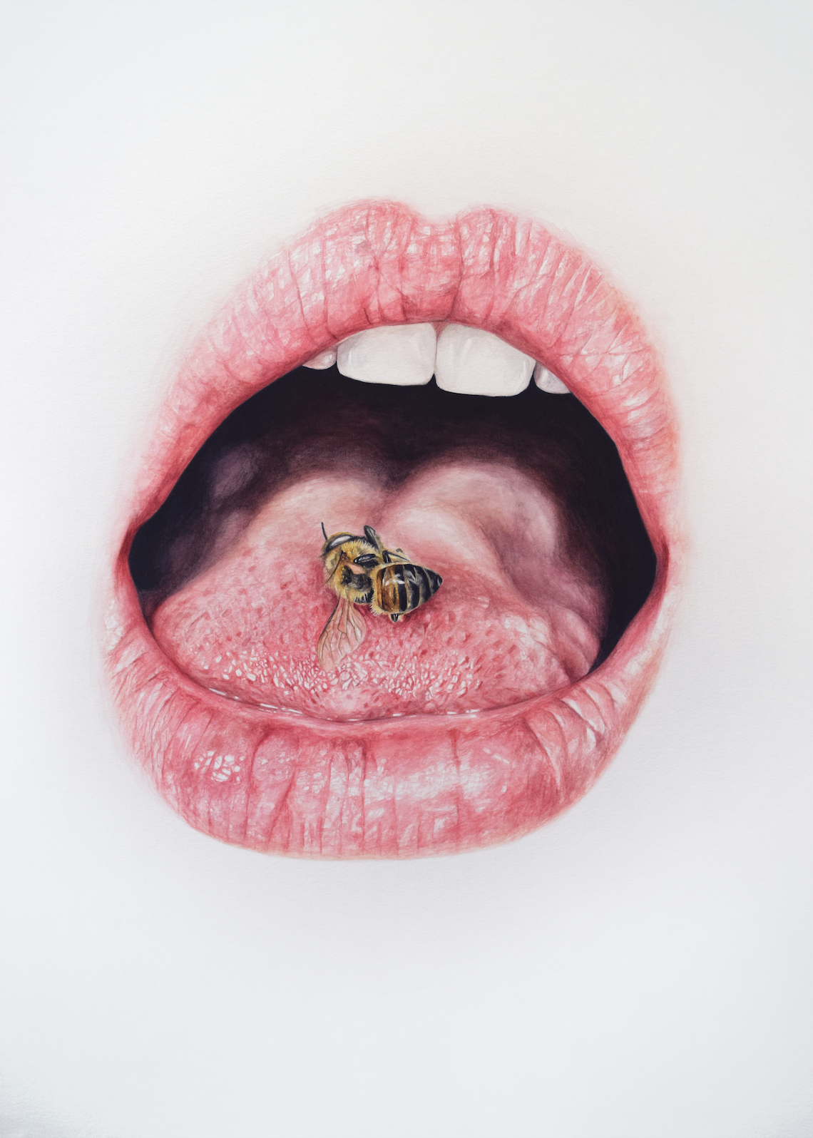 Bee Tongue 2018 Watercolour 25"x19"