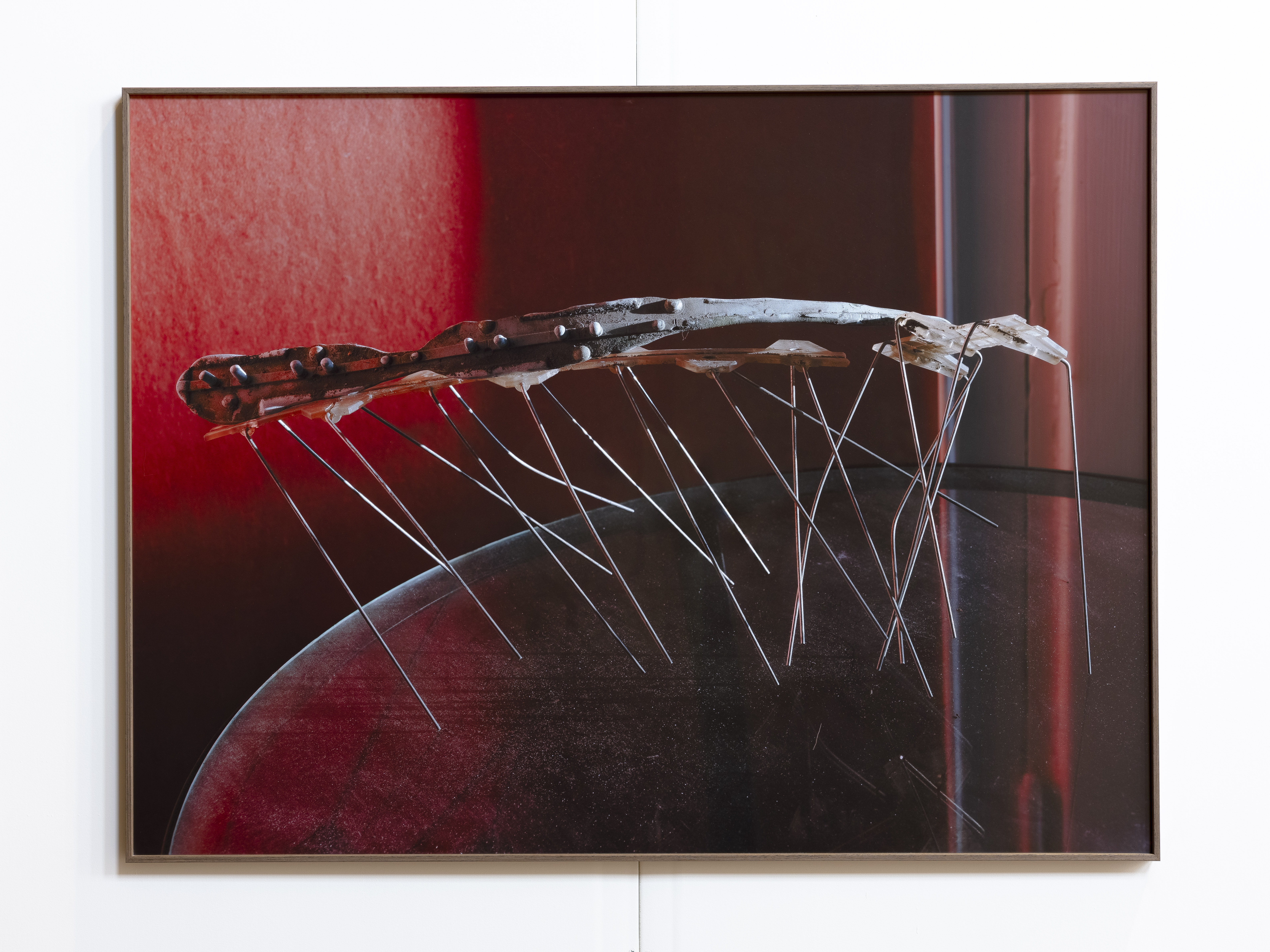 Röda Sten Konsthall, 2024