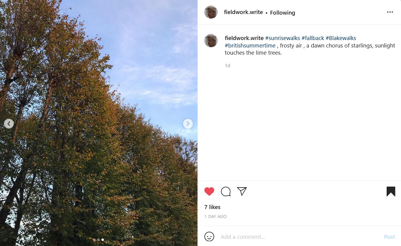 Instagram post by @fieldwork.write. A line of trees makes up the skyline, with green leaves just starting to turn yellow. A triangle of blue sky with wisps of cloud can be seen above. The text reads: "#sunrisewalks #fallback #Blakewalks #britishsummertime , frosty air , a dawn chorus of starlings, sunlight touches the lime trees."