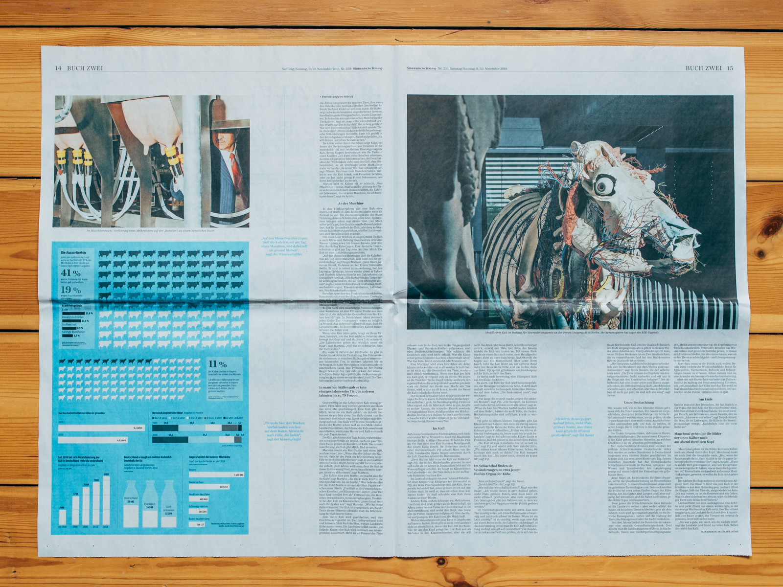 S&uuml;ddeutsche Zeitung / Hornless Heritage / November 2019