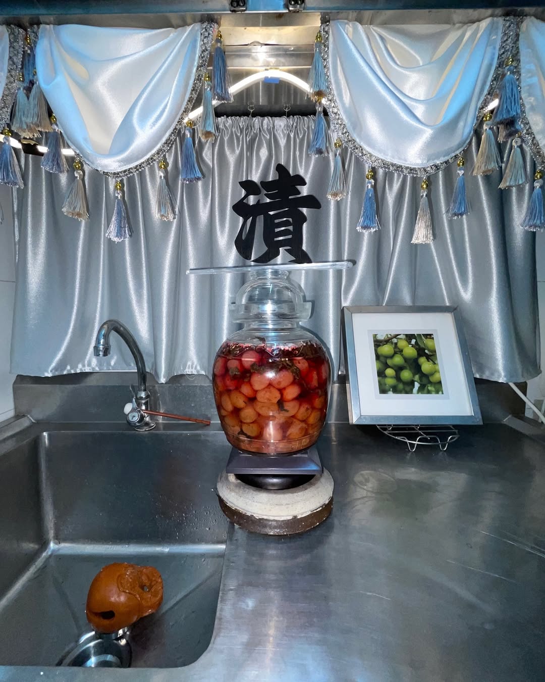 𝗣𝗹𝘂𝗺 𝗥𝗲𝗶𝗻𝗰𝗮𝗿𝗻𝗮𝘁𝗶𝗼𝗻 (2024)