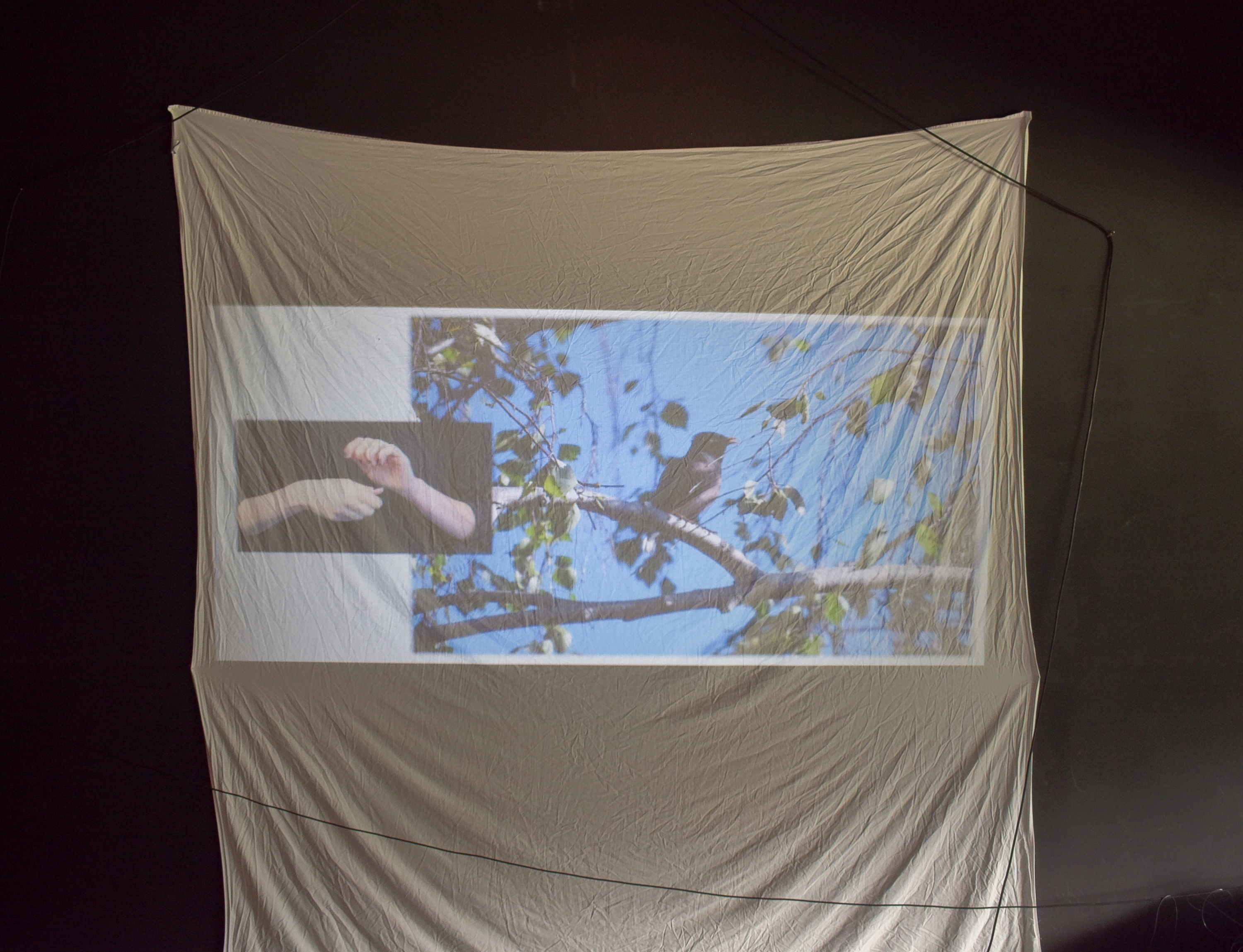 Installation view of Carried Over in a form adapted for single-screen projection.