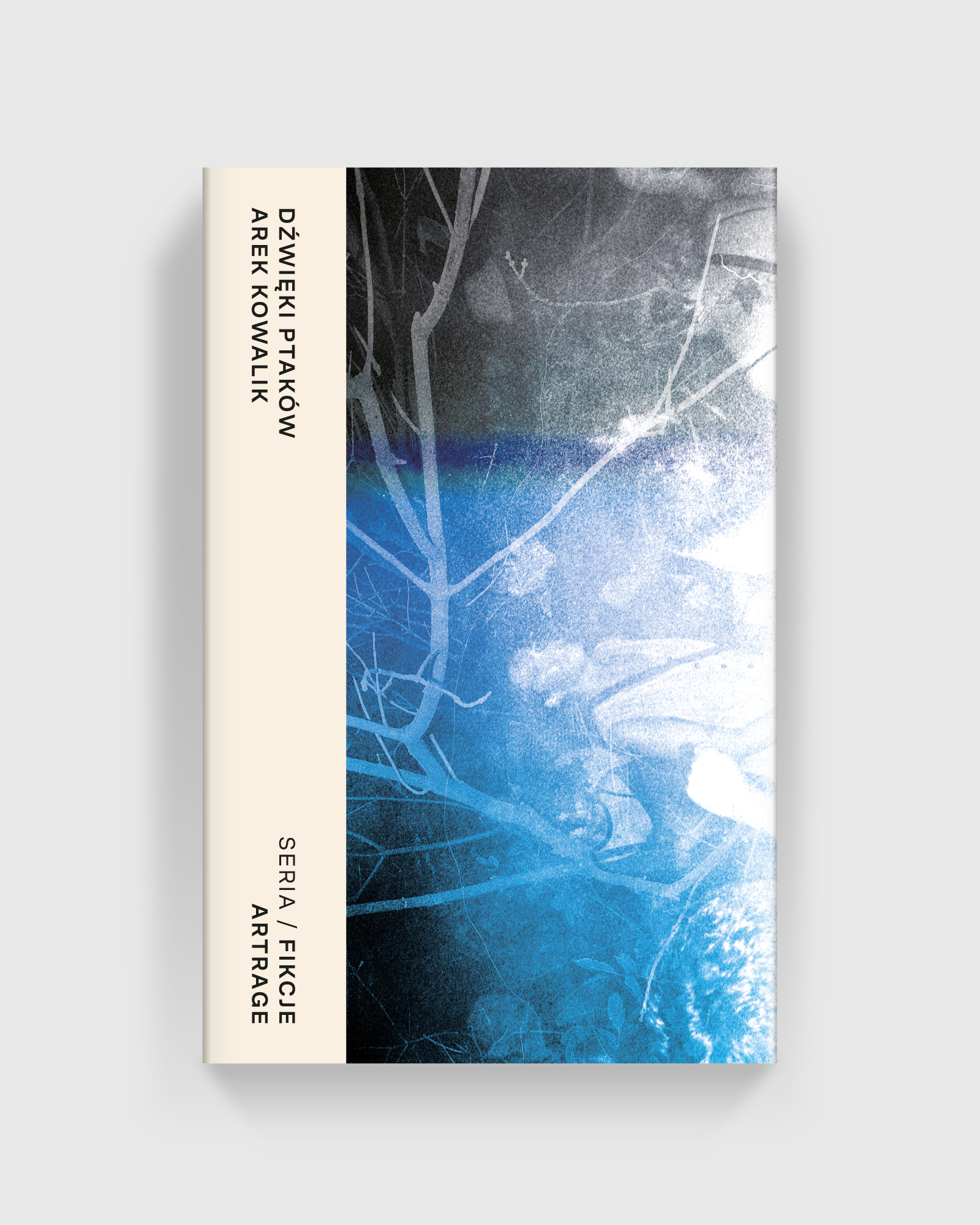 Dzwieki ptakowArek KowalikArtRage Publishing