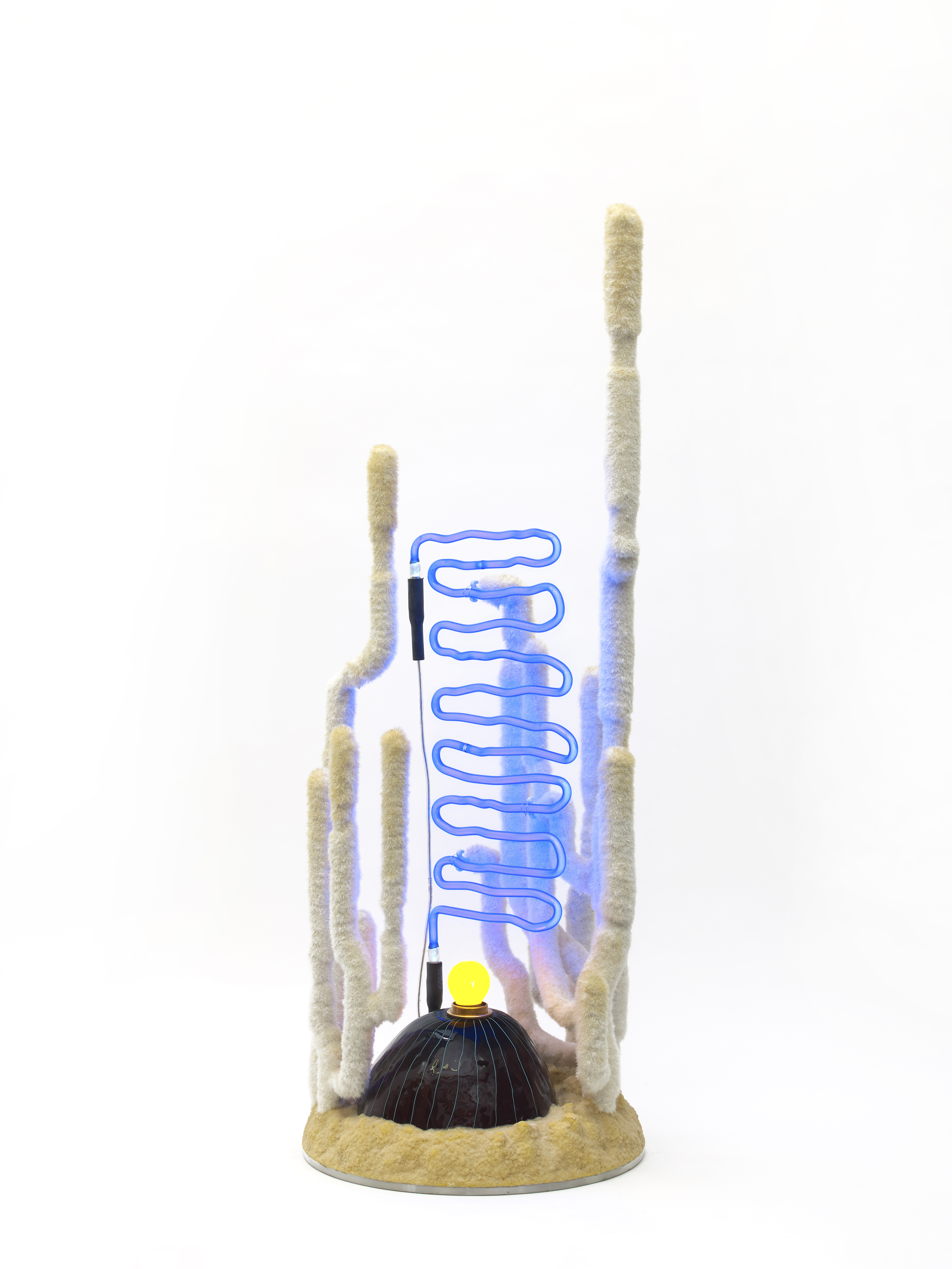 Jonathan Trayte, Desert Riser