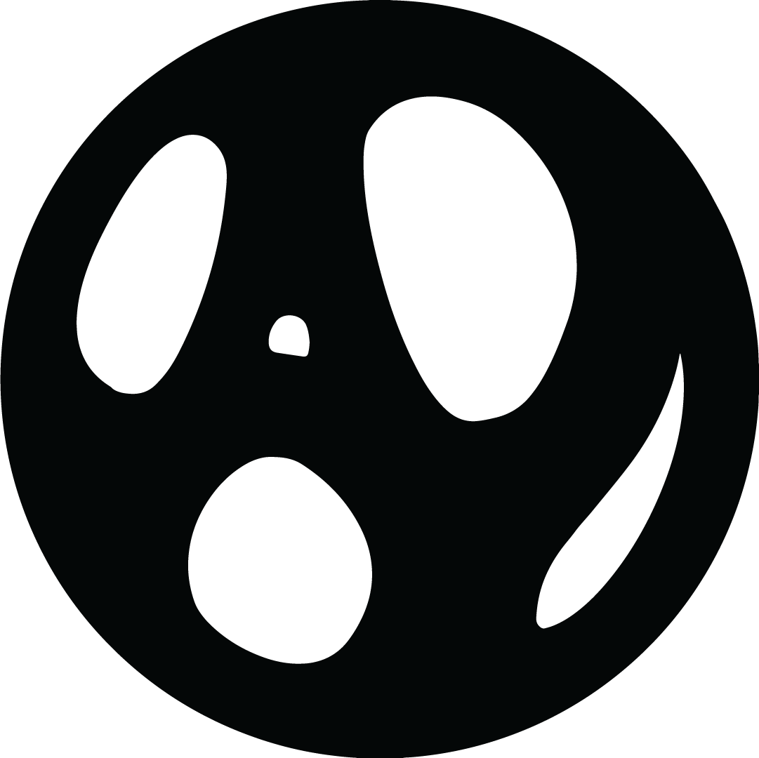 Ariana Vilchis Logo (AV)