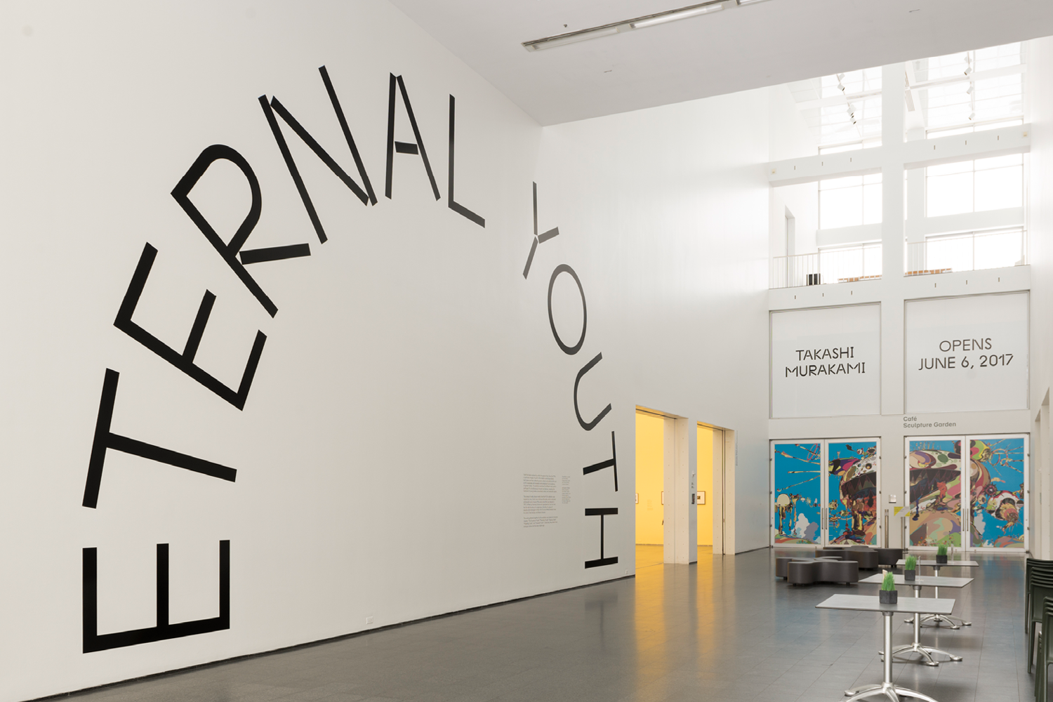 ETERNAL YOUTH. Installation Photos: Nathan Keay/MCA Chicago.