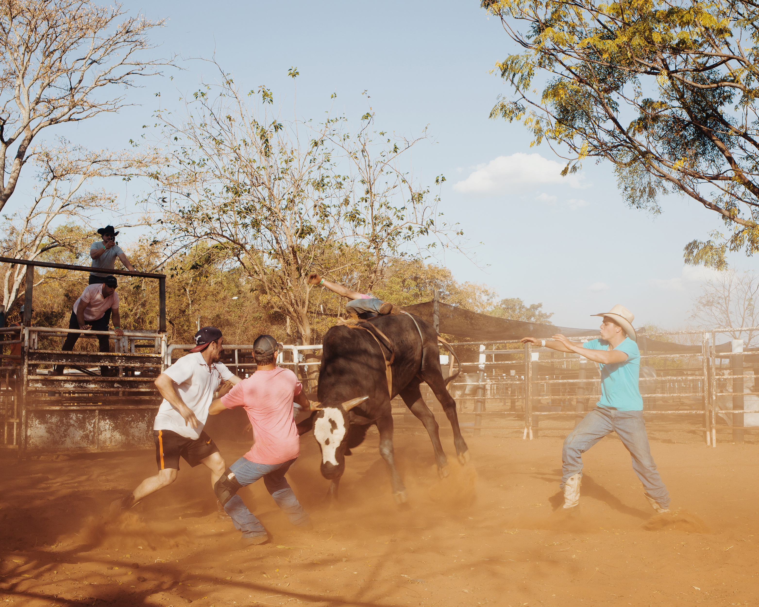 In The American South   Bull owners  Barretos, Sao Paulo 2018 Index