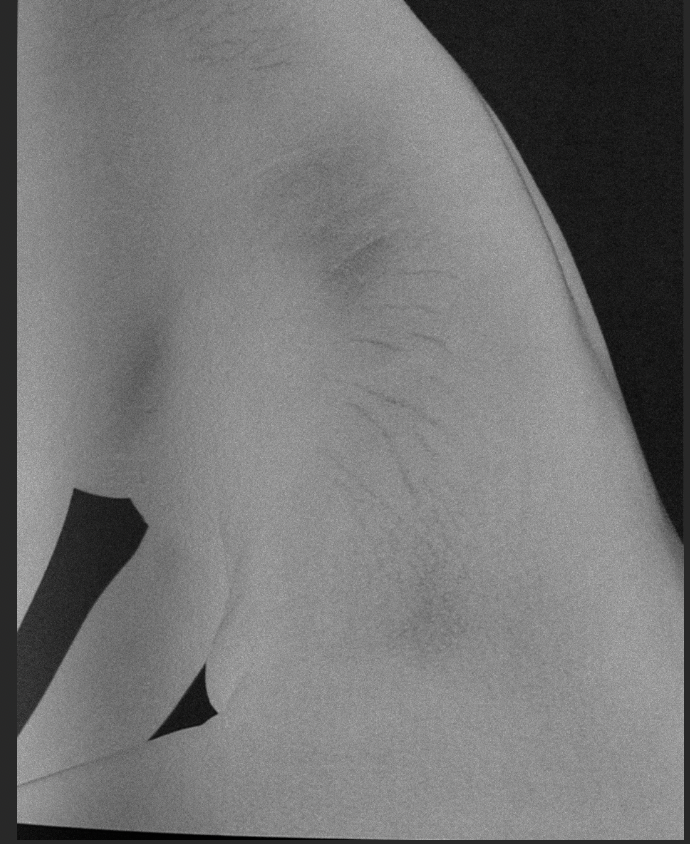 Lotte Van Raalte, Body, 2019