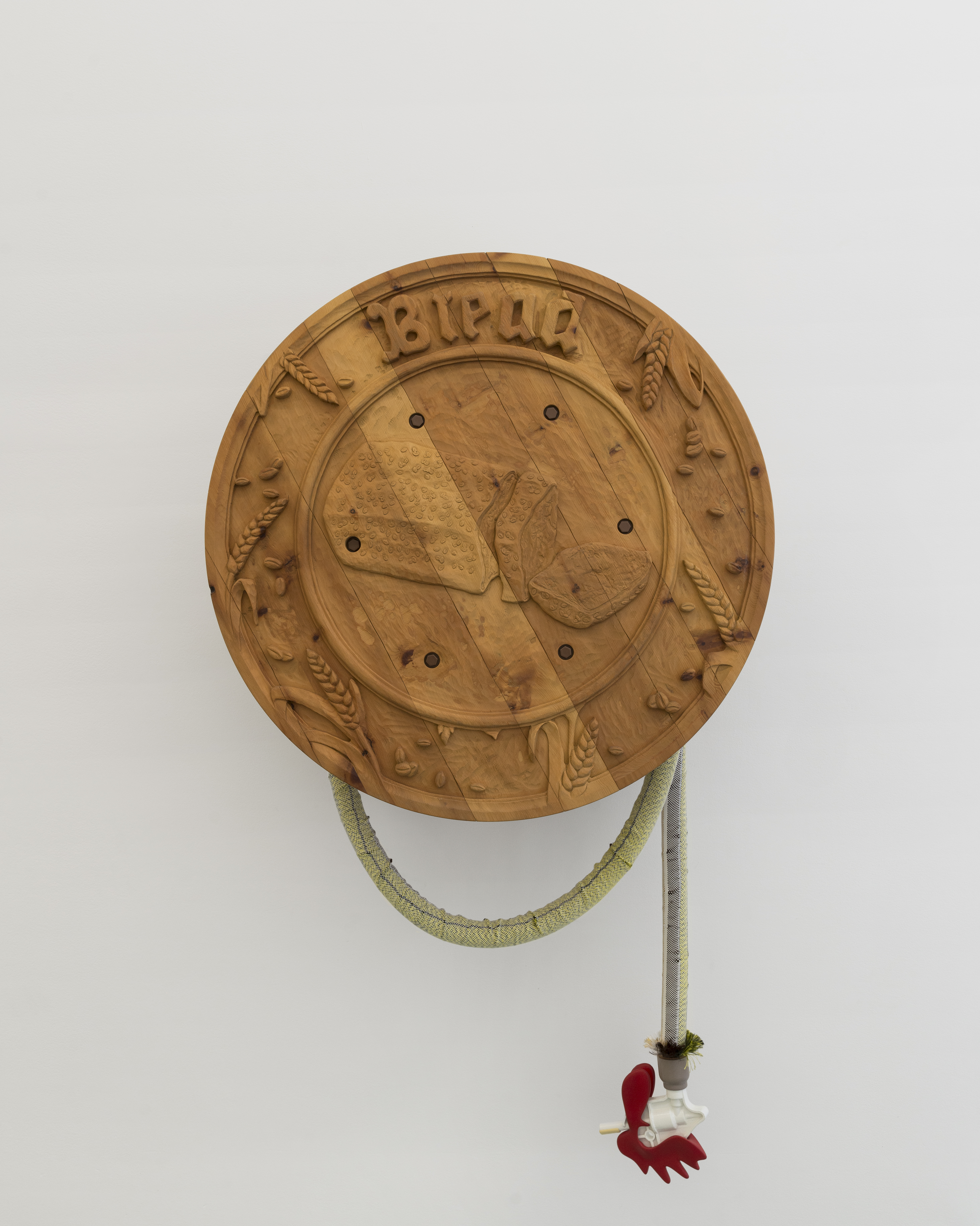 P|cture by Fabien Silvestre Suzor