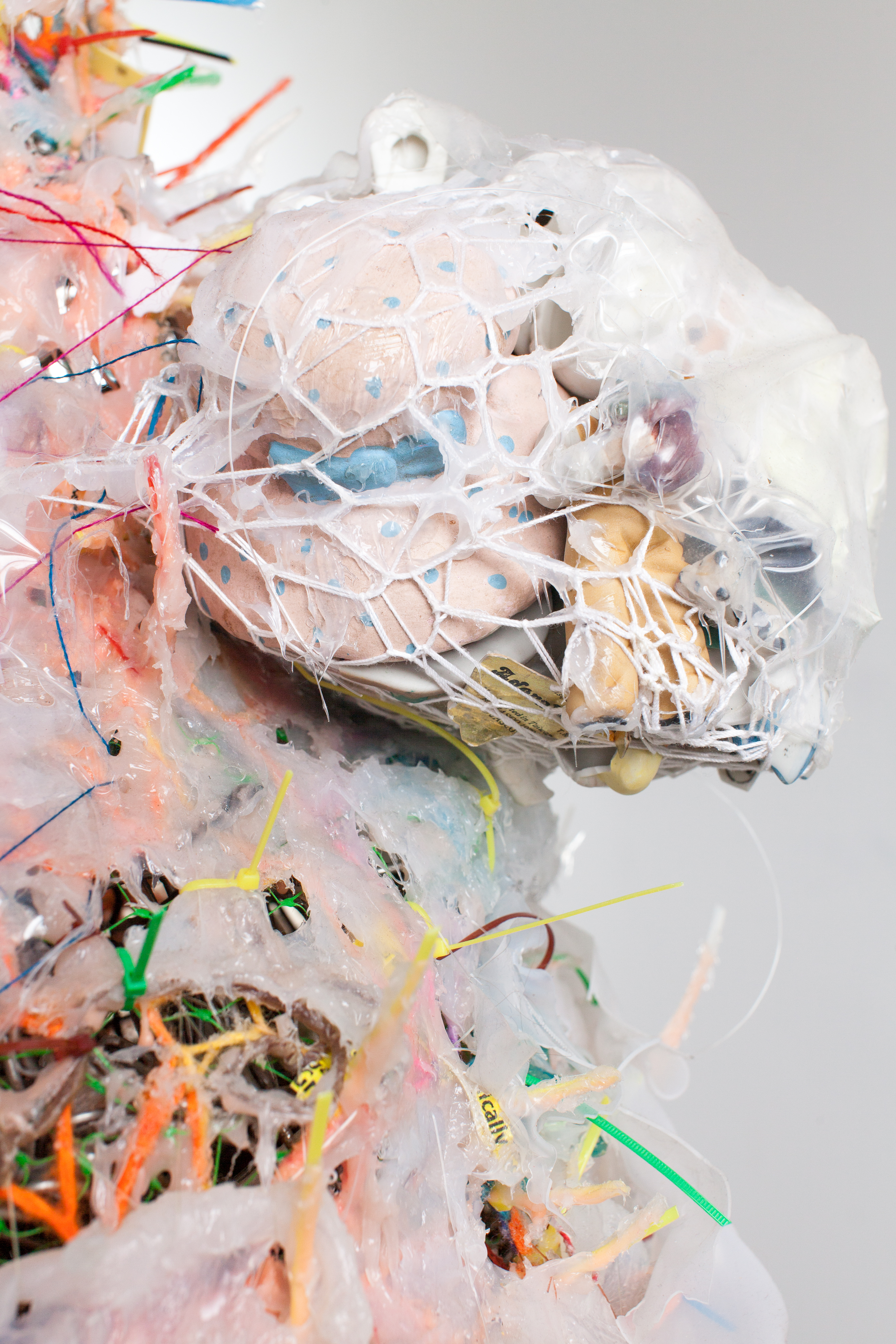 Swan Sack (detail), 2020 