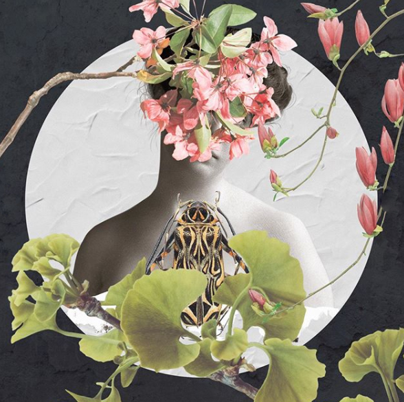 Rocio Fernández Lorca