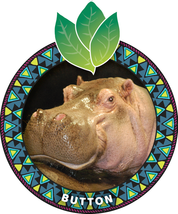 Adventure Aquarium — grafficsignals