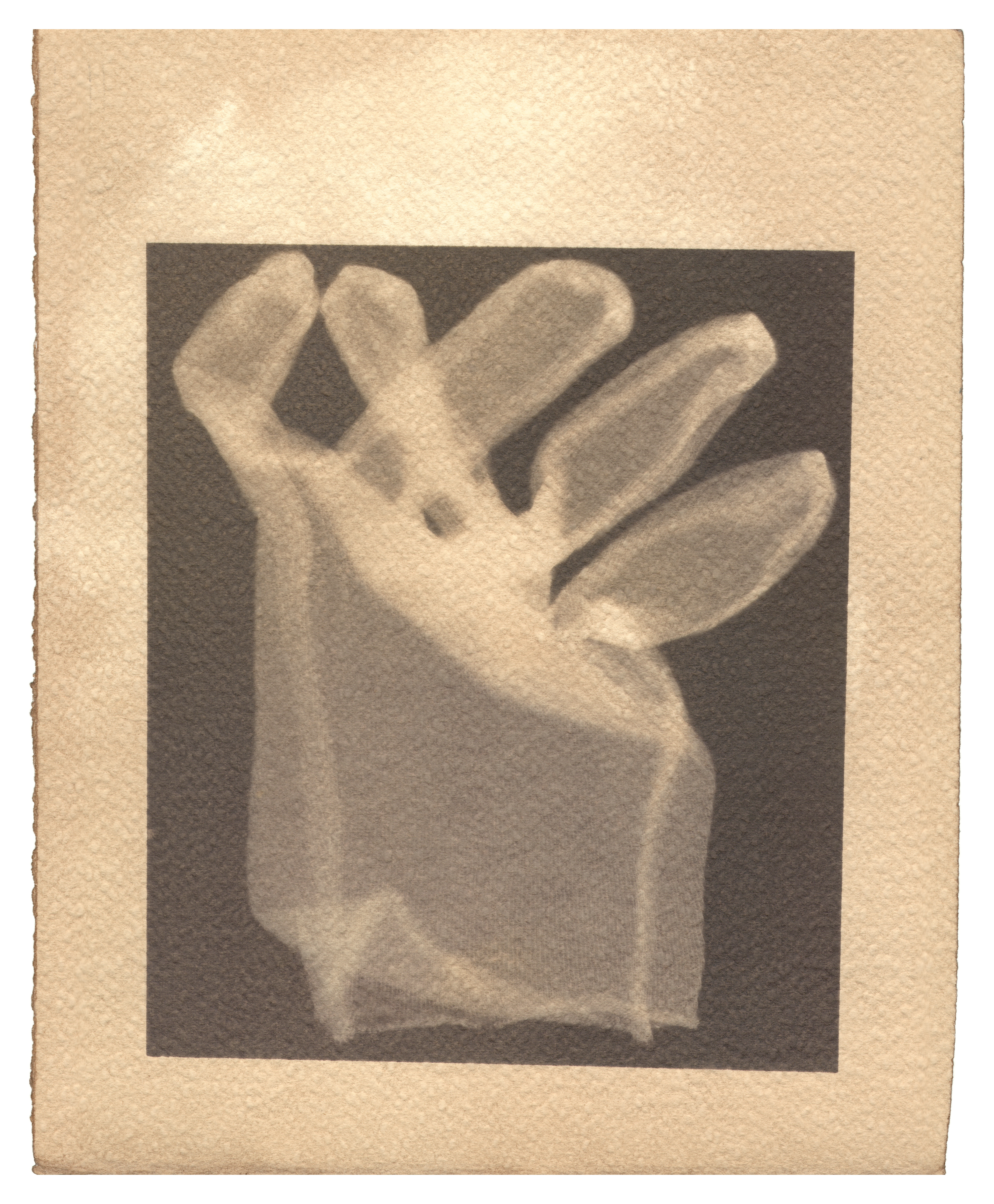 This Should Be a Clue in Attributing Other Work to His Hand, 2014Van Dyke brown on paper8.013 x 9.807 in.20.35 x 24.91 cm