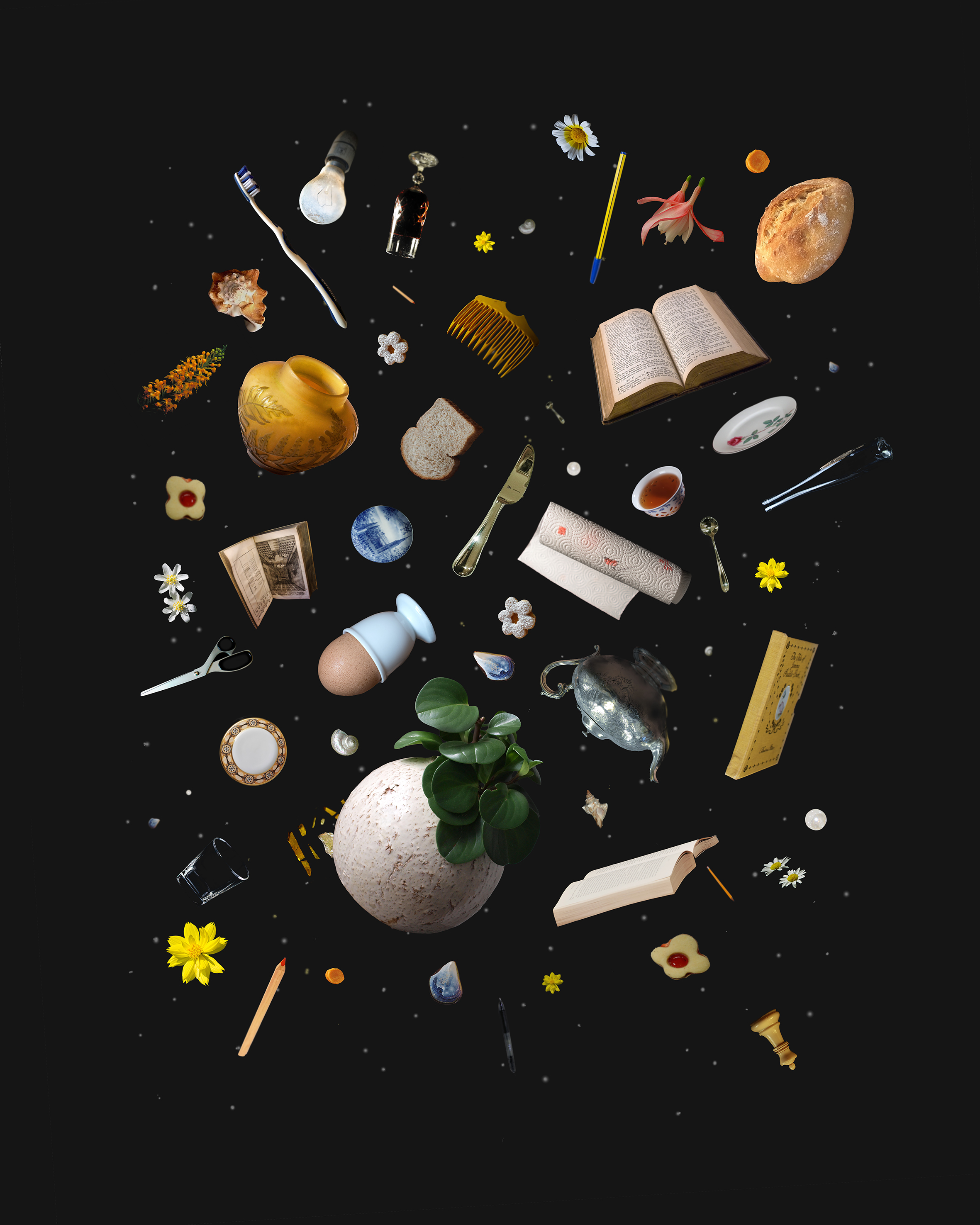 Beautiful Cosmos, 2023