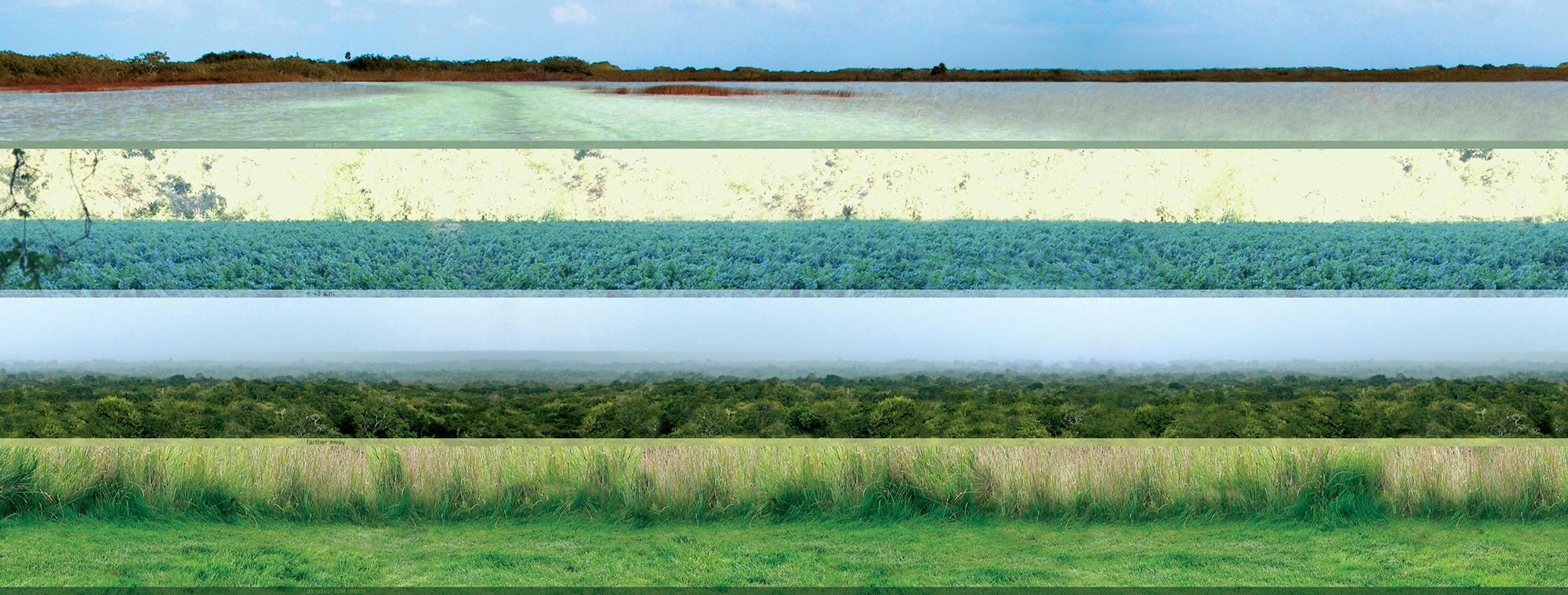 Homeland 3, Low Green, 2006; inkjet print and plexiglass, 15 x 40 x .5 inches.