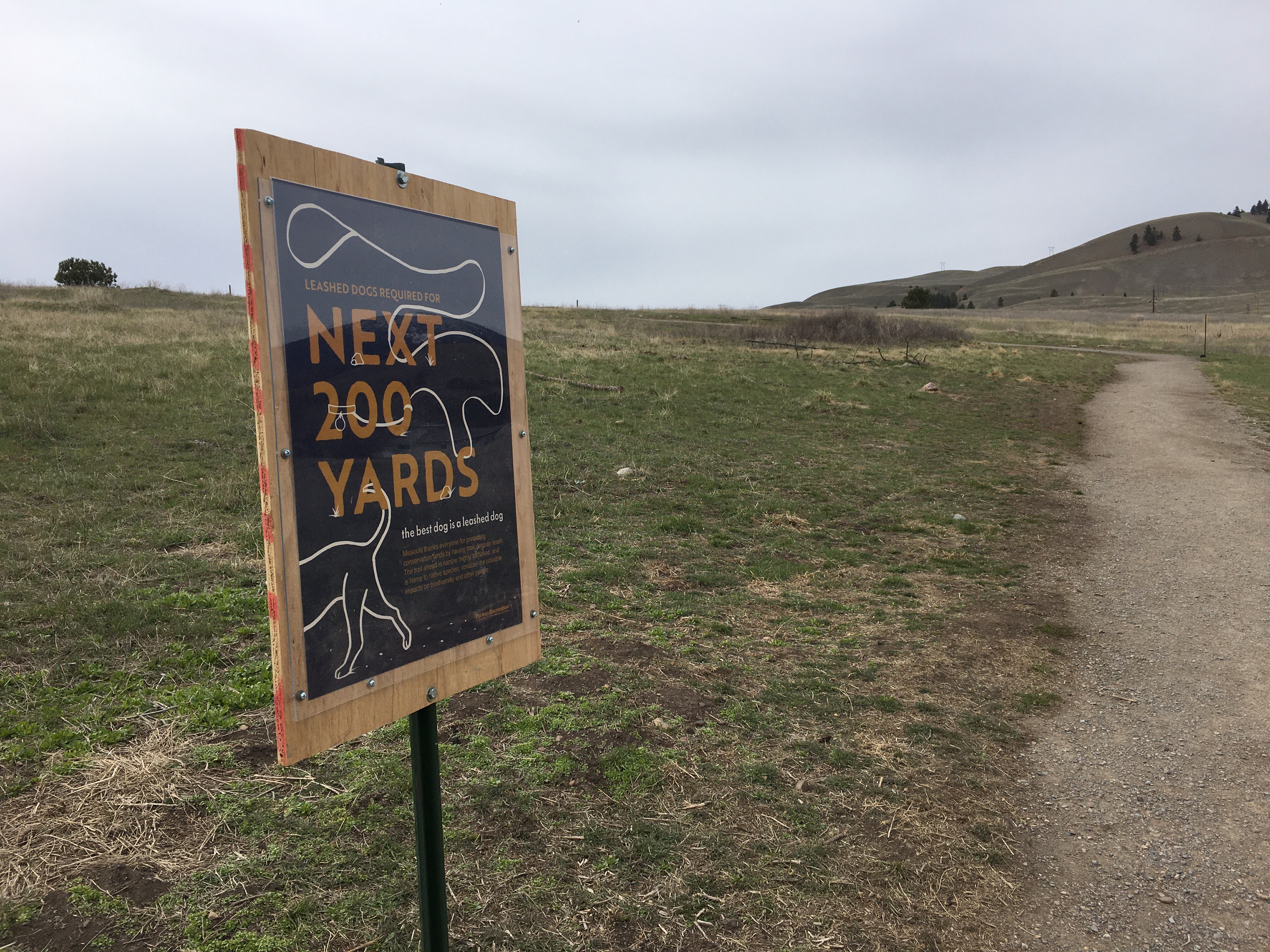 "Type as Image" sign designs by Caroline Thomas